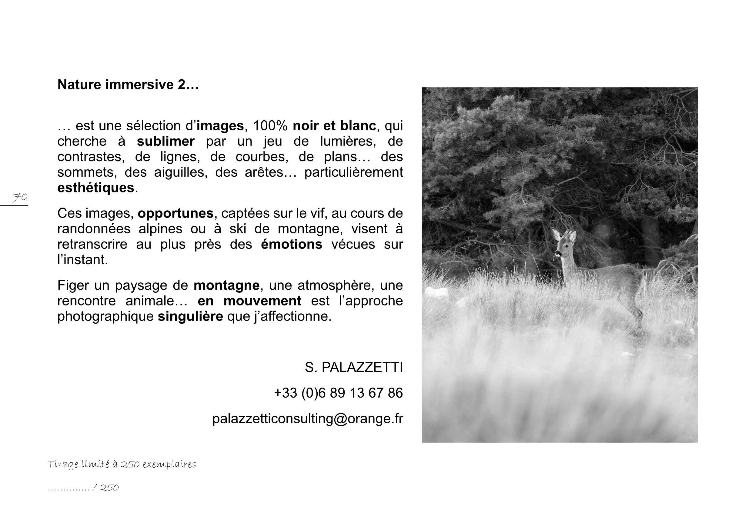 ZINE NB 2024 - VERSION 2_1_35.jpg
