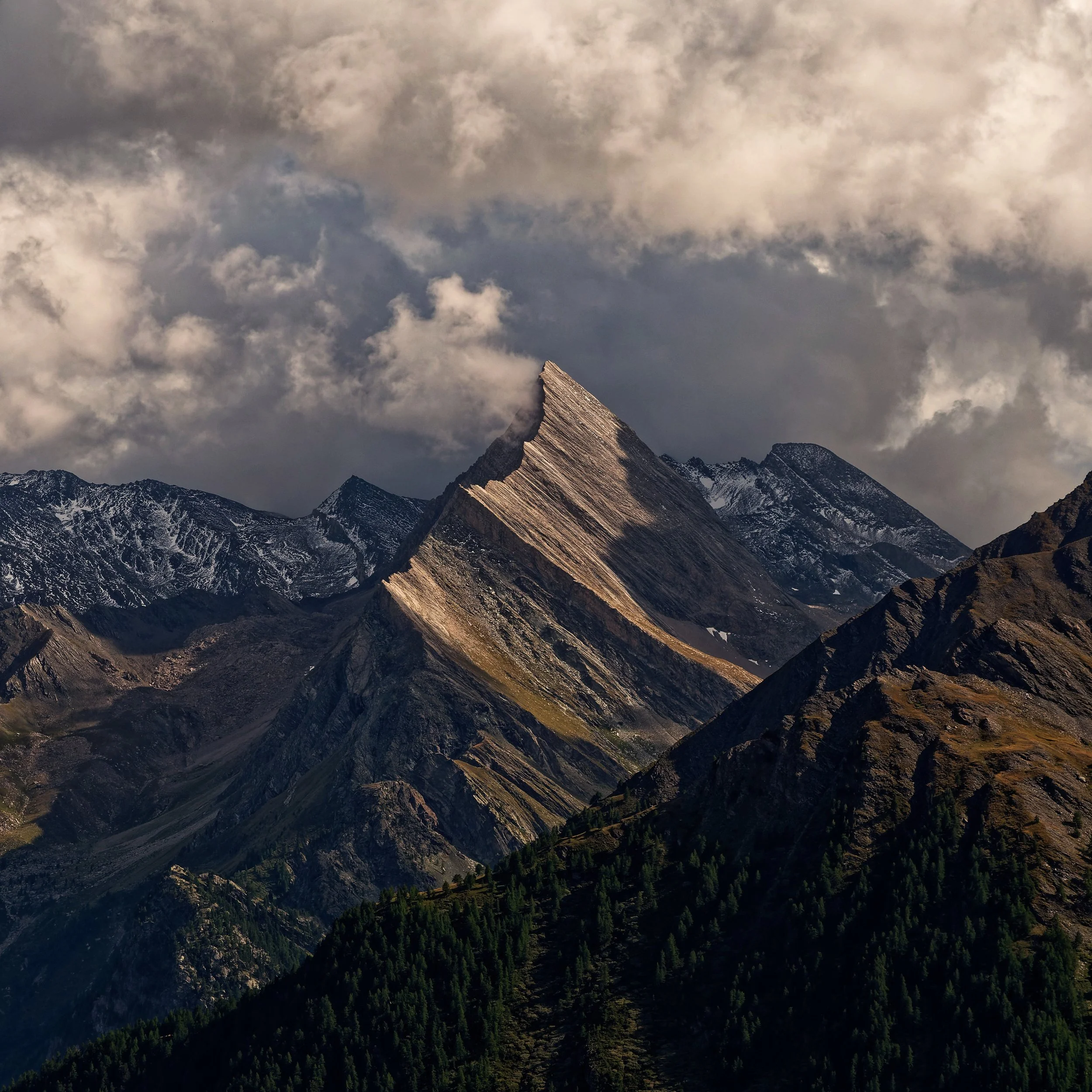"Arête vivante"