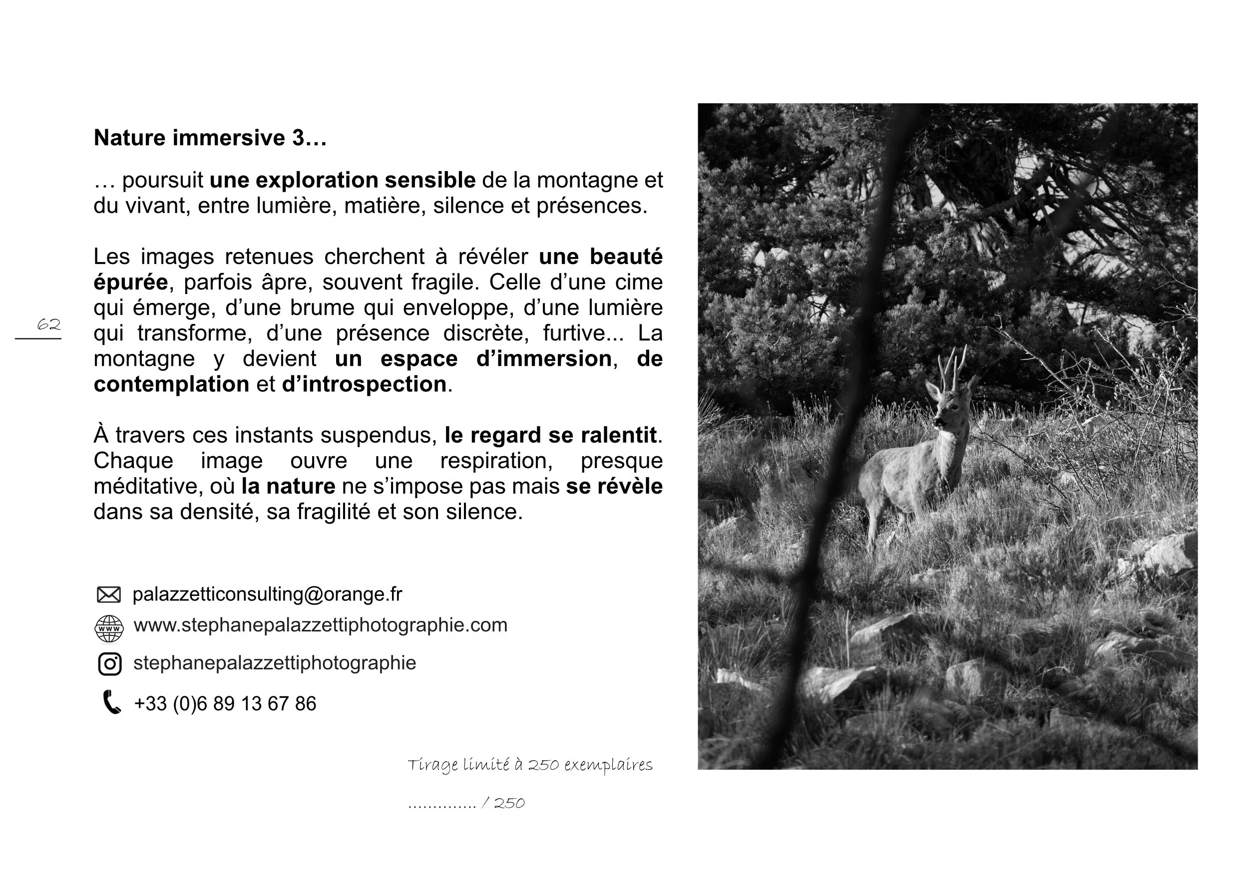 NATURE IMMERSIVE 3 - S. PALAZZETTI_31.jpg