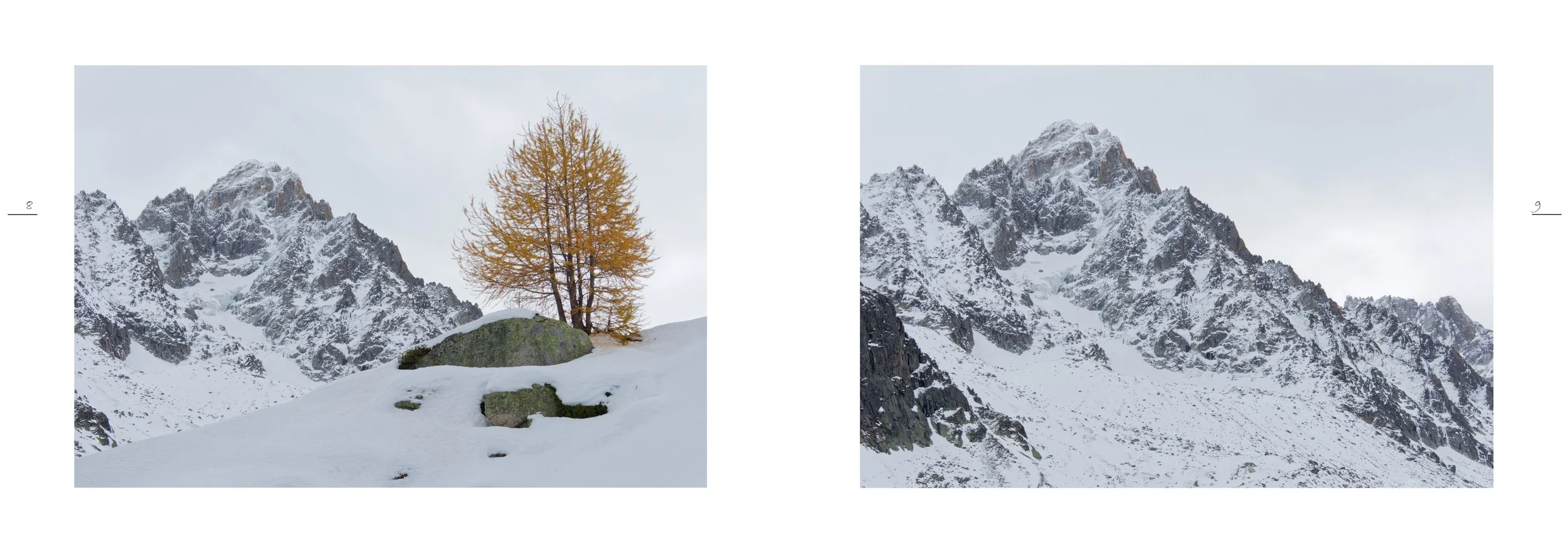 NATURE IMMERSIVE 3 - S. PALAZZETTI_4.jpg