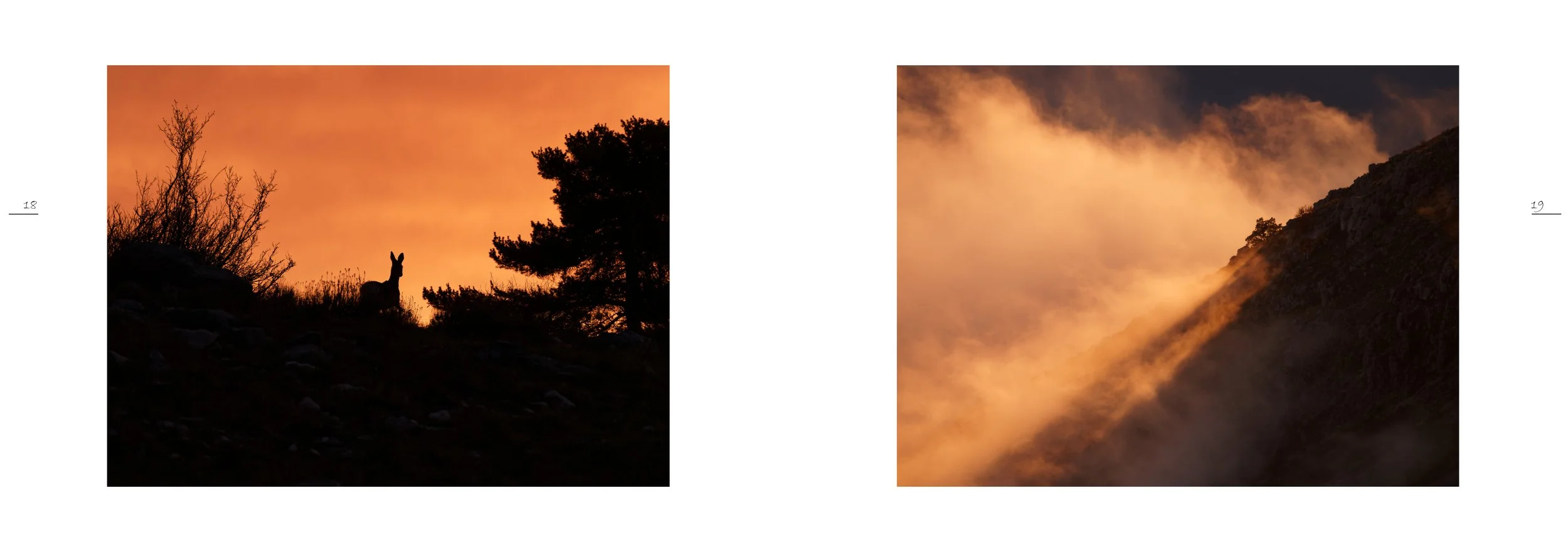NATURE IMMERSIVE 3 - S. PALAZZETTI_9.jpg