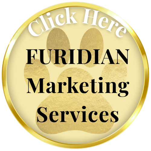 Click Link to take you to the Furidian business digital and print marketing services
