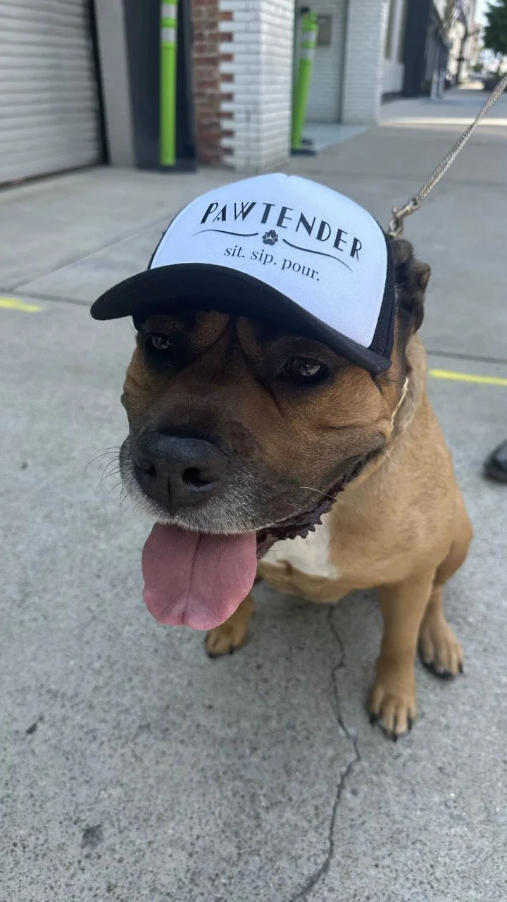 Pawtender Dog Trucker Hat