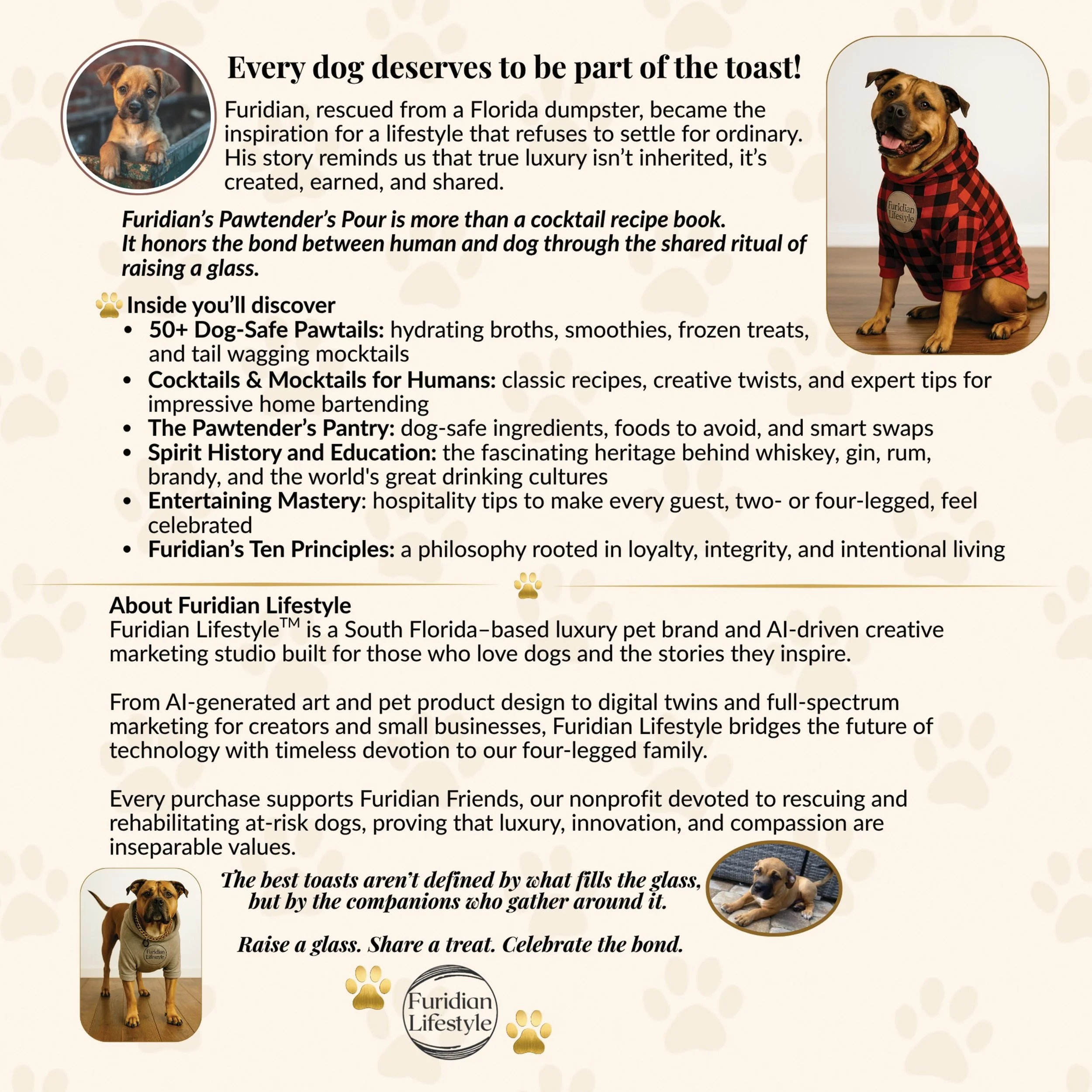A promotional flyer featuring a small dog wearing a red and black checkered shirt. The flyer is about celebrating dogs and includes images of the dog and text about dog care and lifestyle, with paw print decorations.