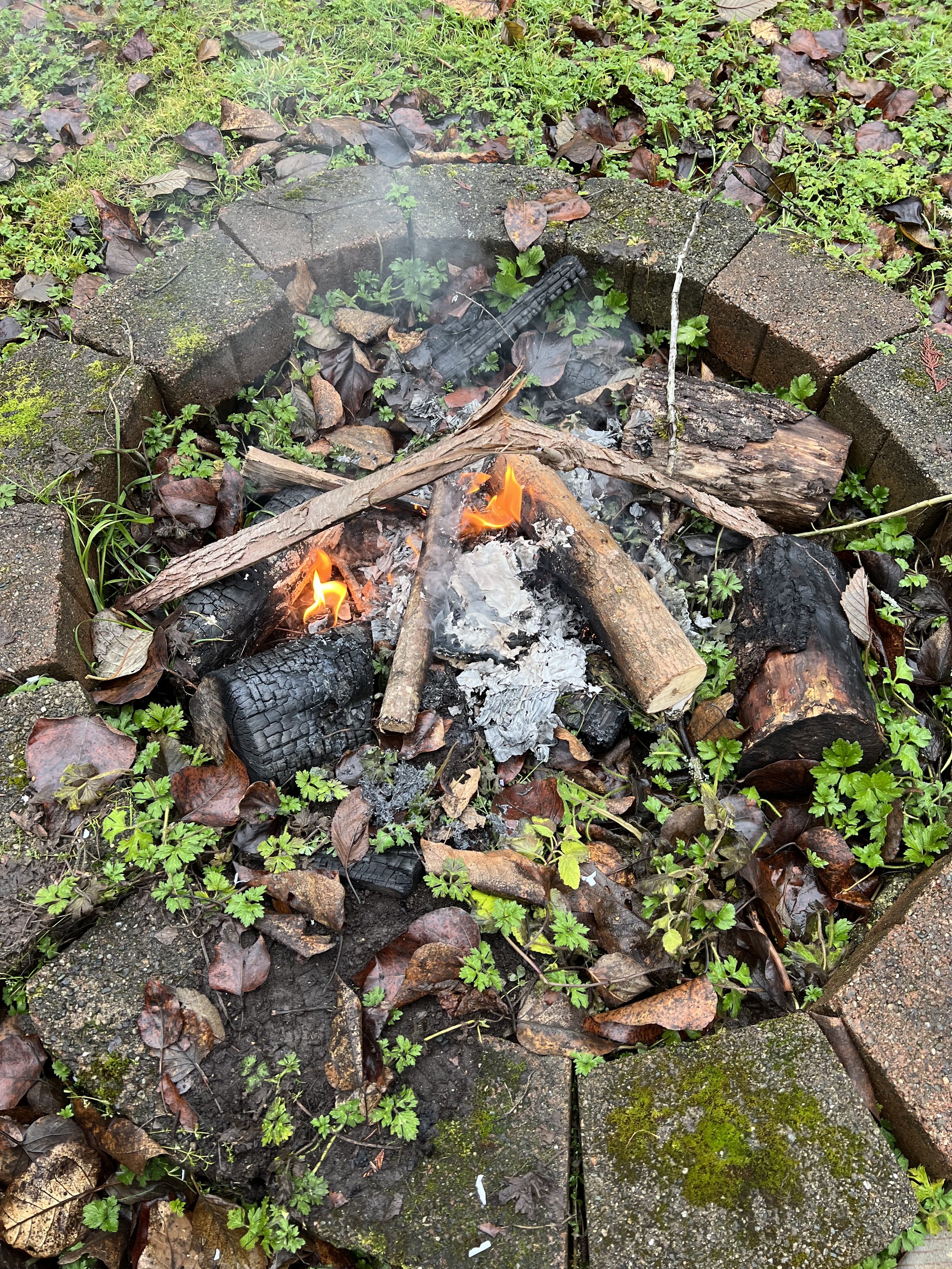 You are always manifesting 