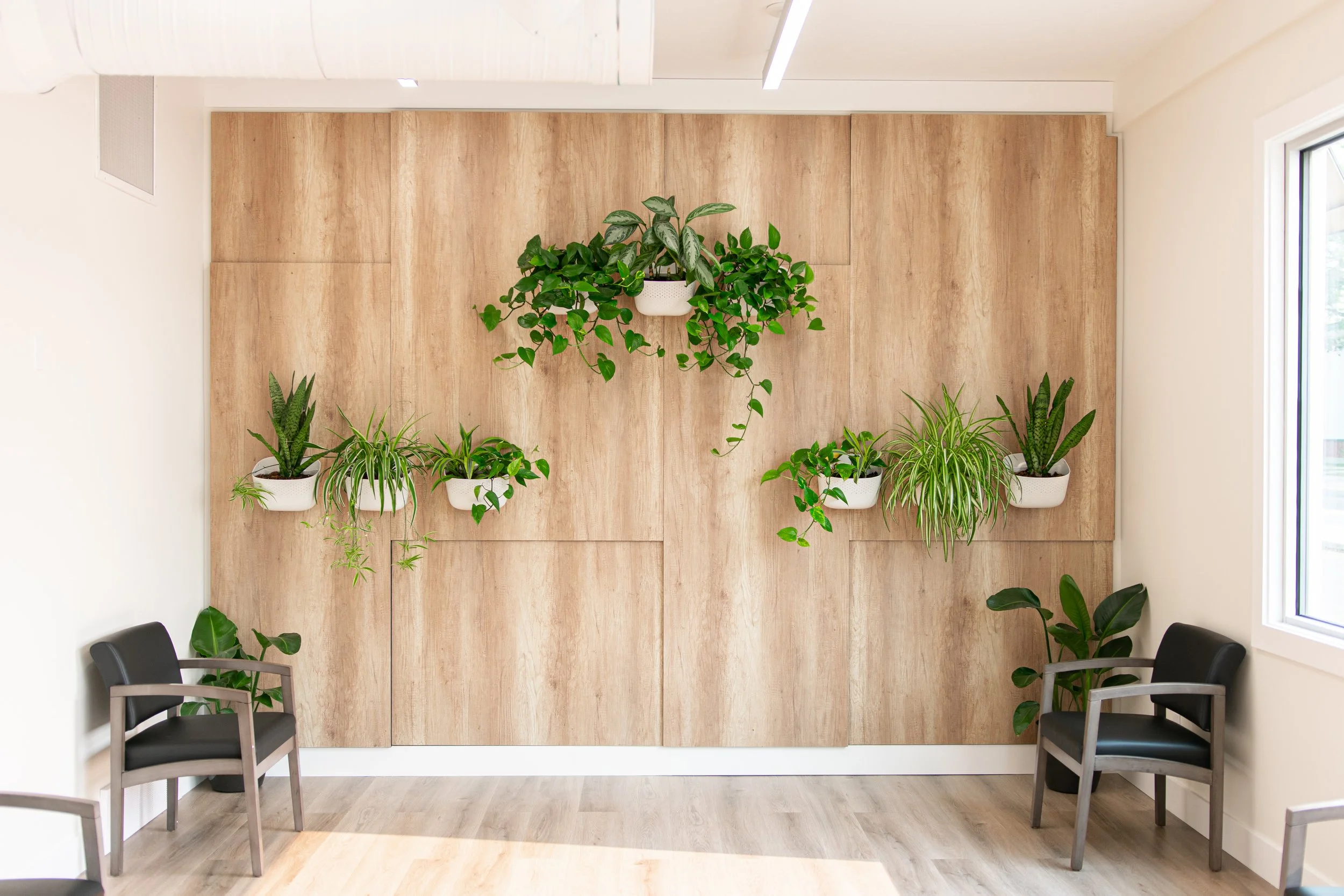 Interior scene featuring a wooden wall with hanging planters and a variety of green houseplants, two black chairs with gray arms, and a large window to the right.