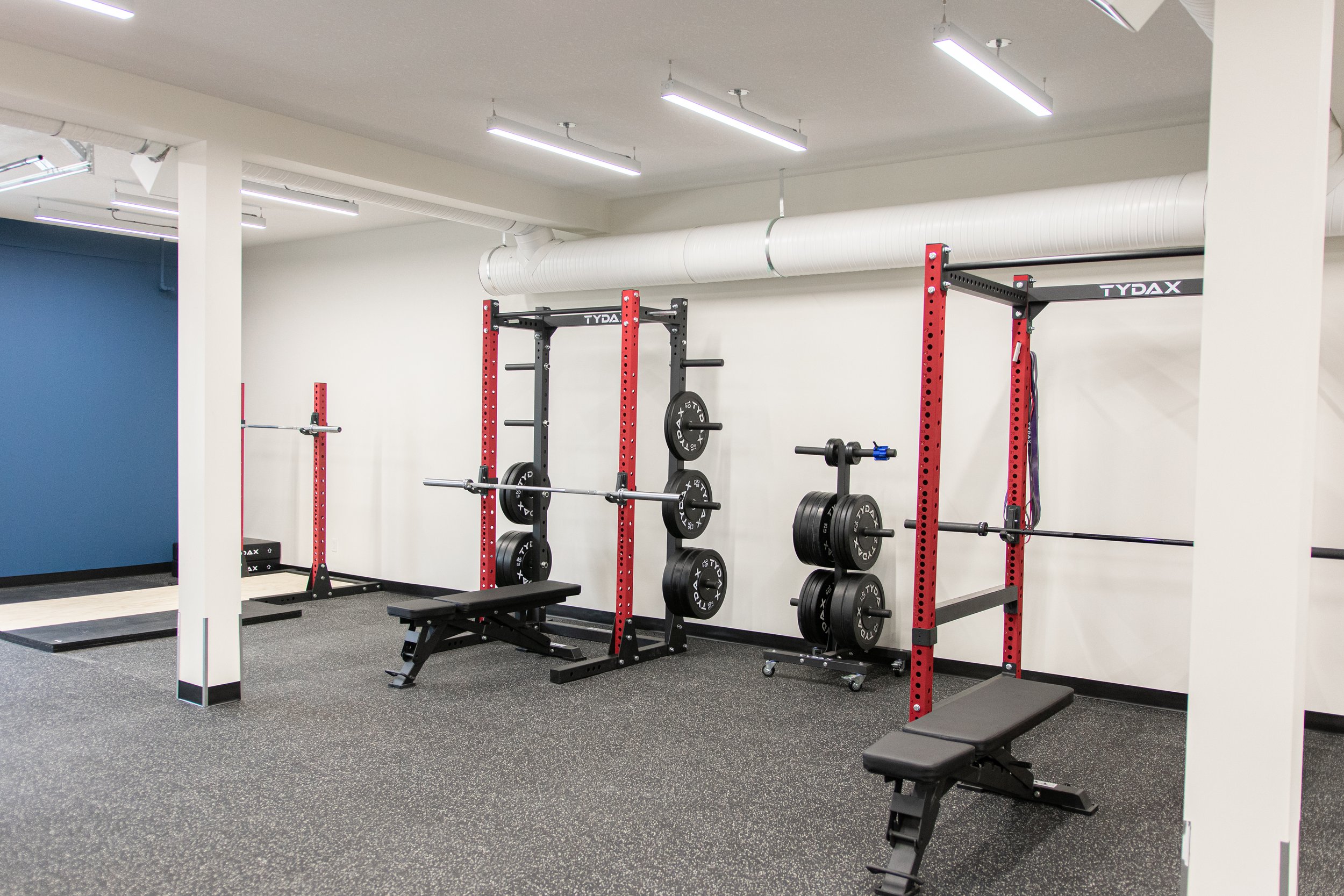 Empty gym with weightlifting equipment, including barbells, weight plates, benches, and a power rack, in a brightly lit room with white walls, a blue accent wall, and black rubber flooring.