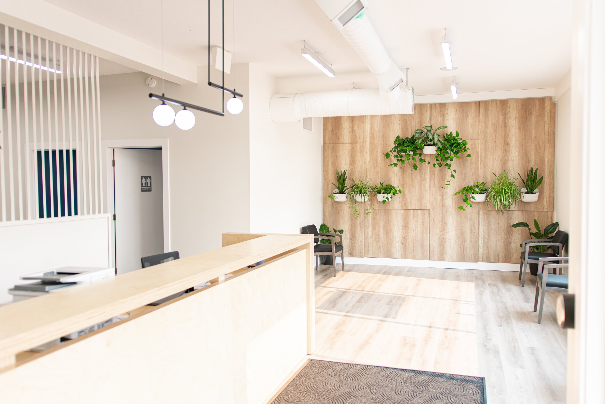Modern reception area with wooden accent wall decorated with hanging potted green plants, chairs along the wall, light-colored wooden reception desk, and ceiling lights.
