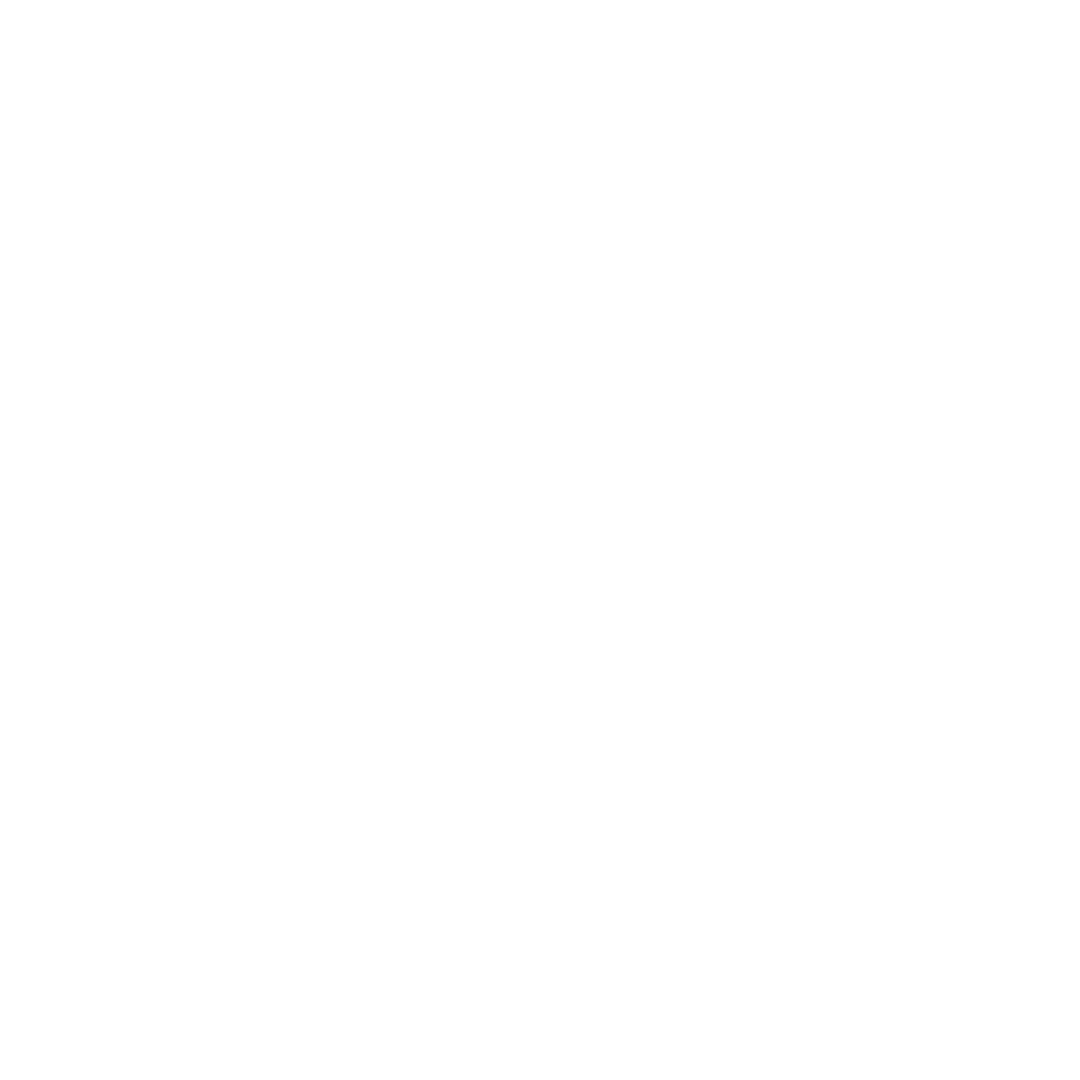 Orlandice Interiors 