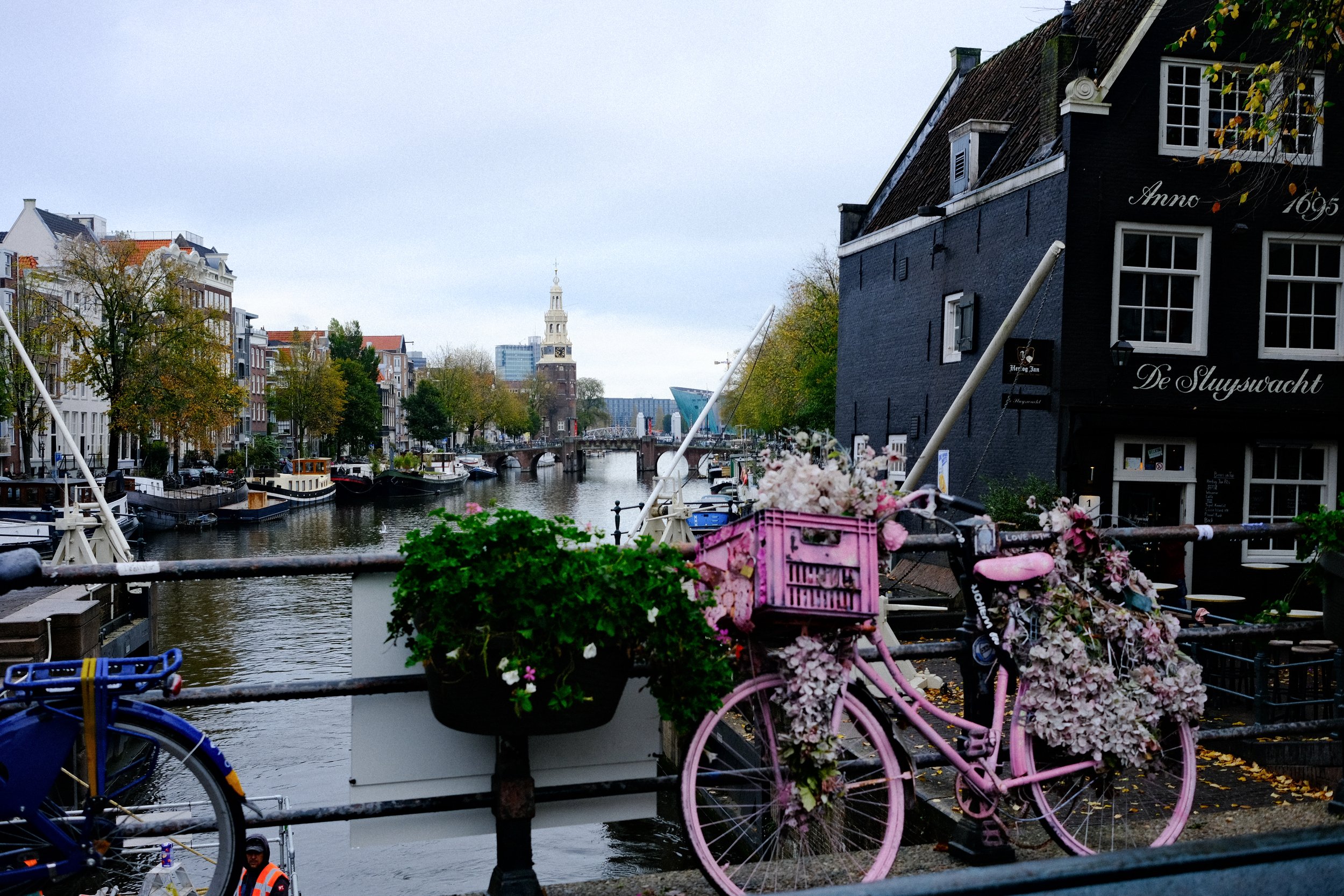 Amsterdam 2024-3.jpg