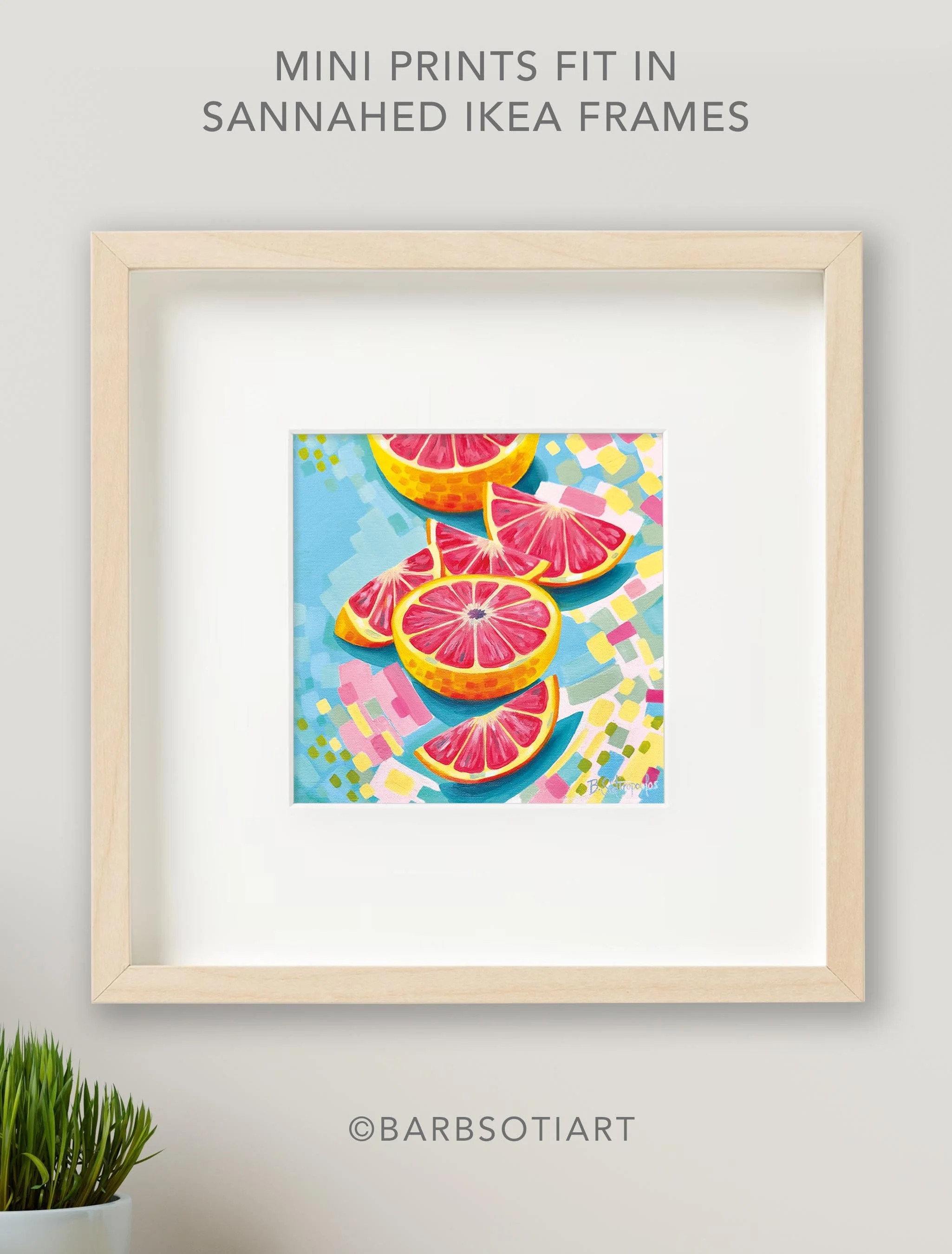 JF-MINI Grapefruit Prints_9.jpg