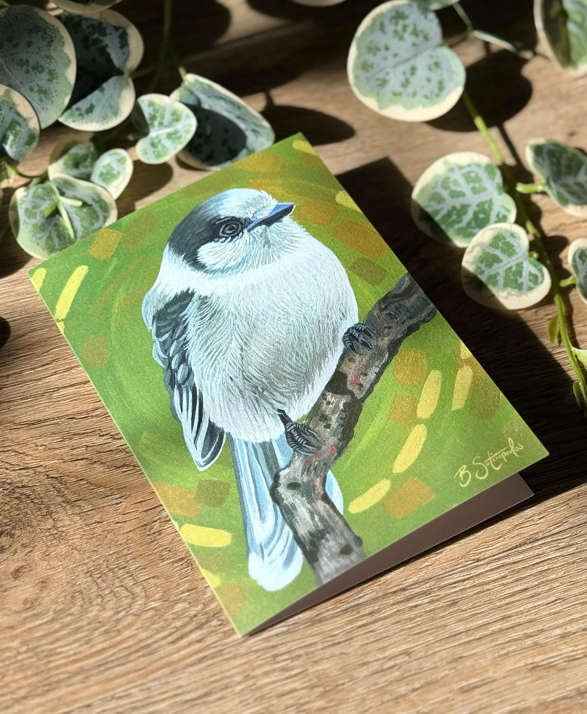 barbsotiart_GC_Little Whiskey Jack_4.jpg