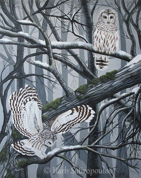 Three snowy owls perched on snow-covered tree branches in a foggy, winter forest.