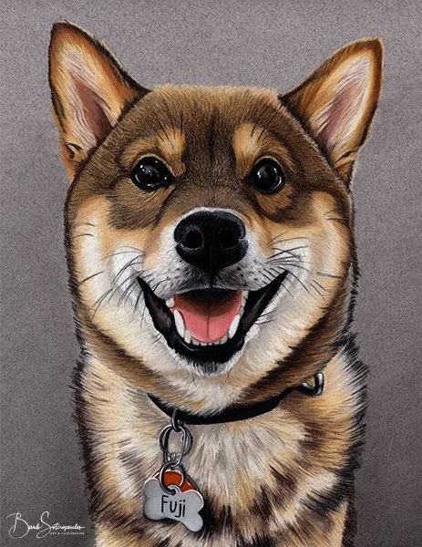 Photograph of a smiling Shiba Inu dog with a black collar and a dog tag that says 'Fuji' on it.