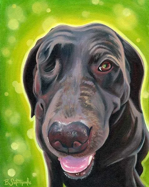 Close-up portrait of a black Labrador Retriever with a green background.