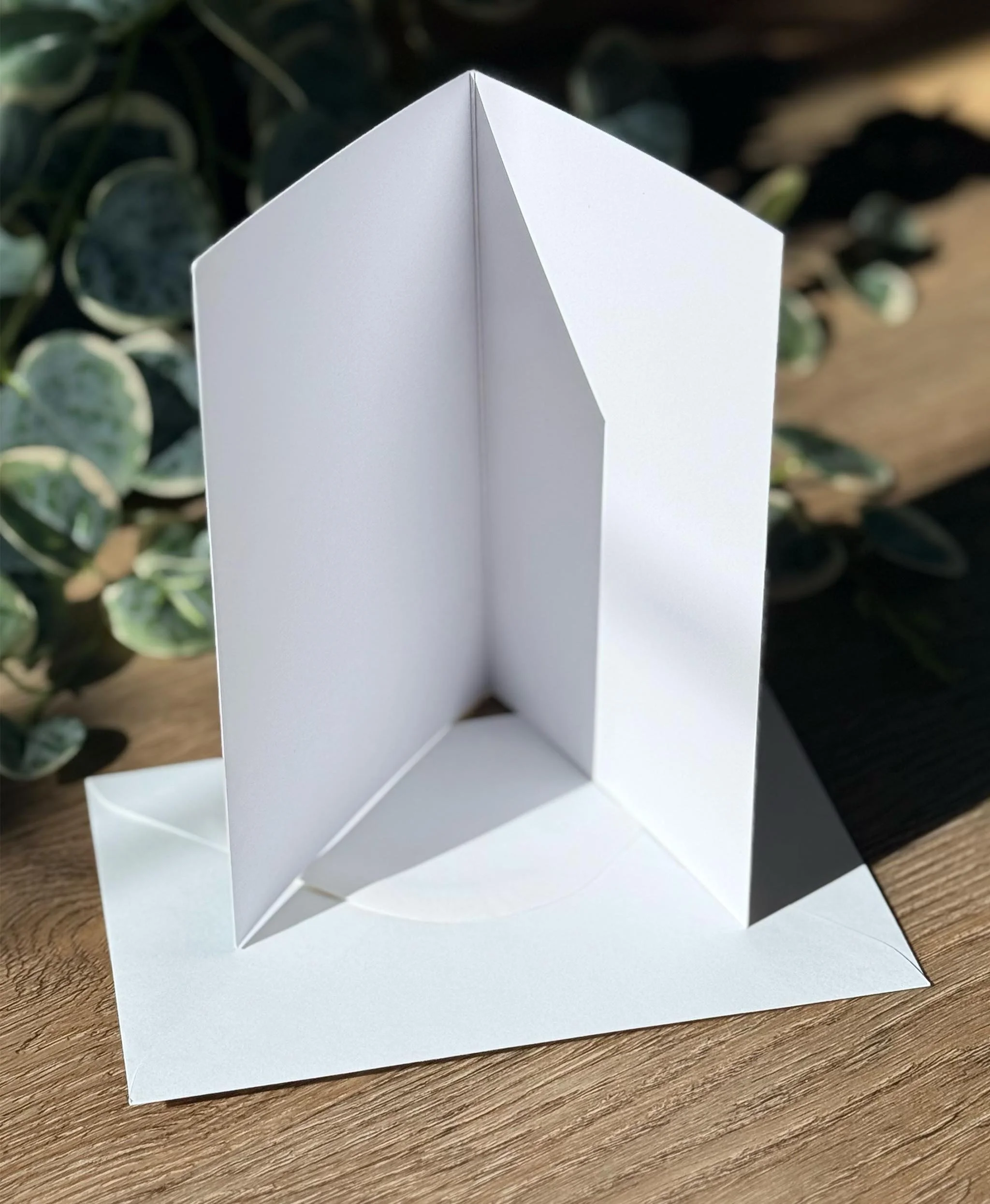 barbsotiart_GC_seize the day_3.jpg (Copy) (Copy) (Copy) (Copy)