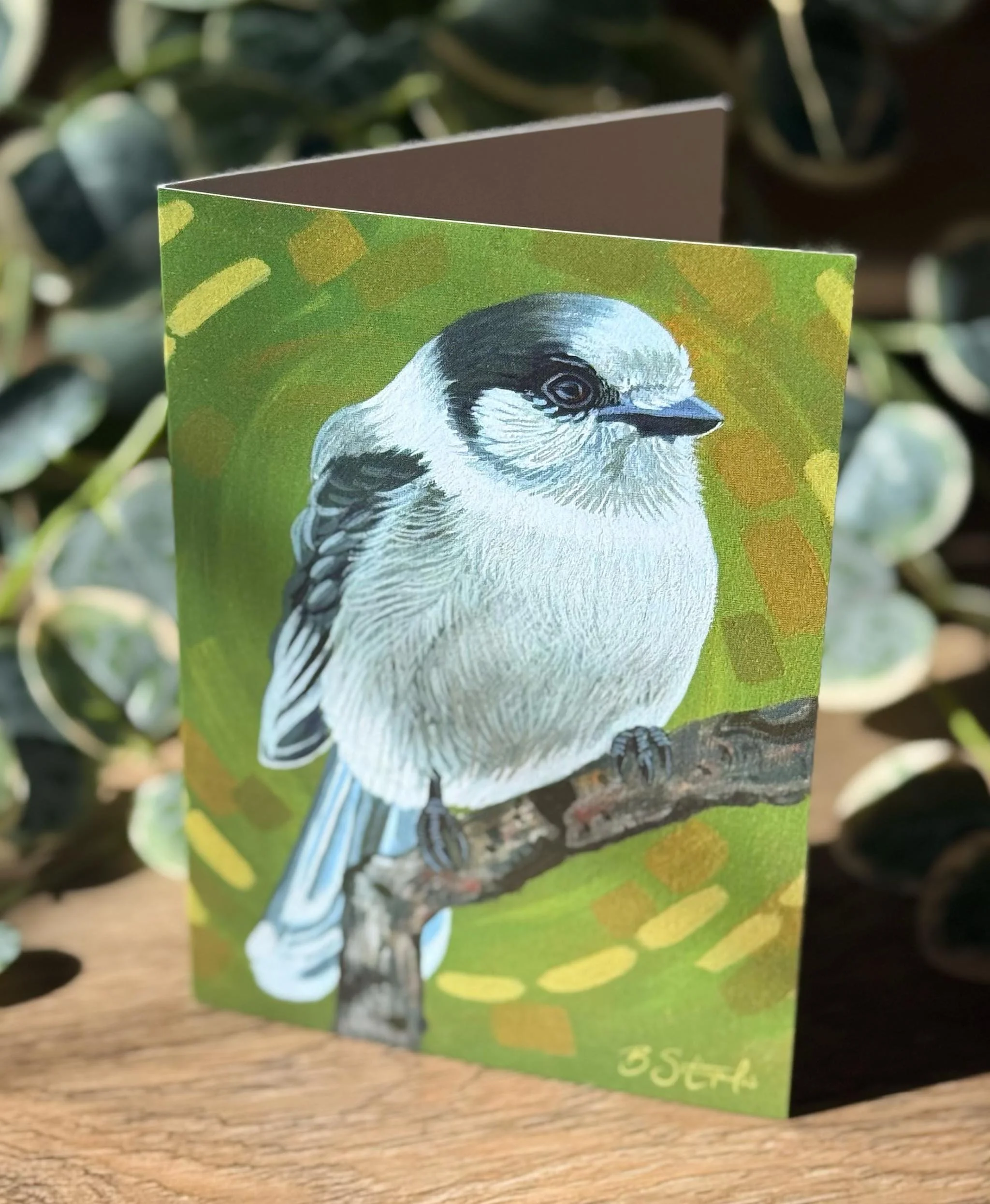 barbsotiart_GC_Little Whiskey Jack_1.jpg