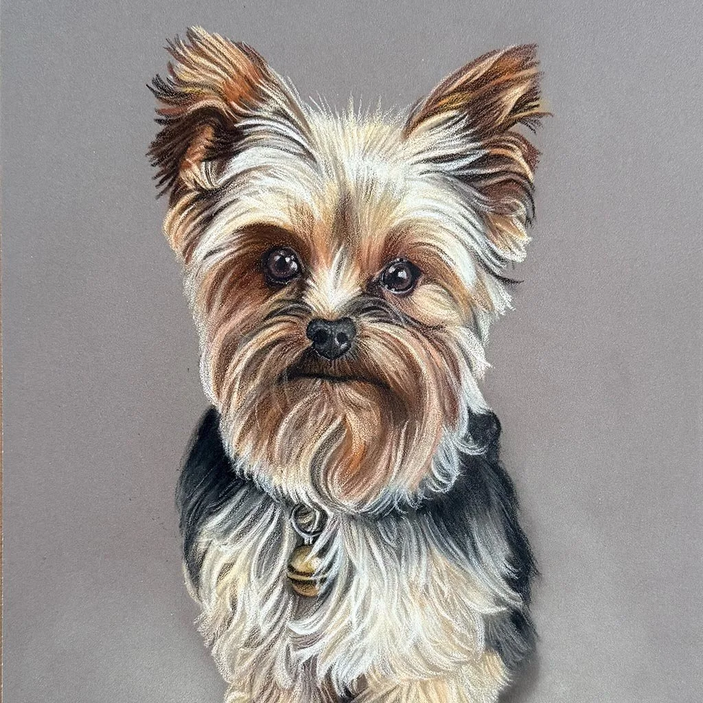 A realistic painting of a small Yorkshire Terrier dog with a black collar and a small bell, looking directly at the viewer.