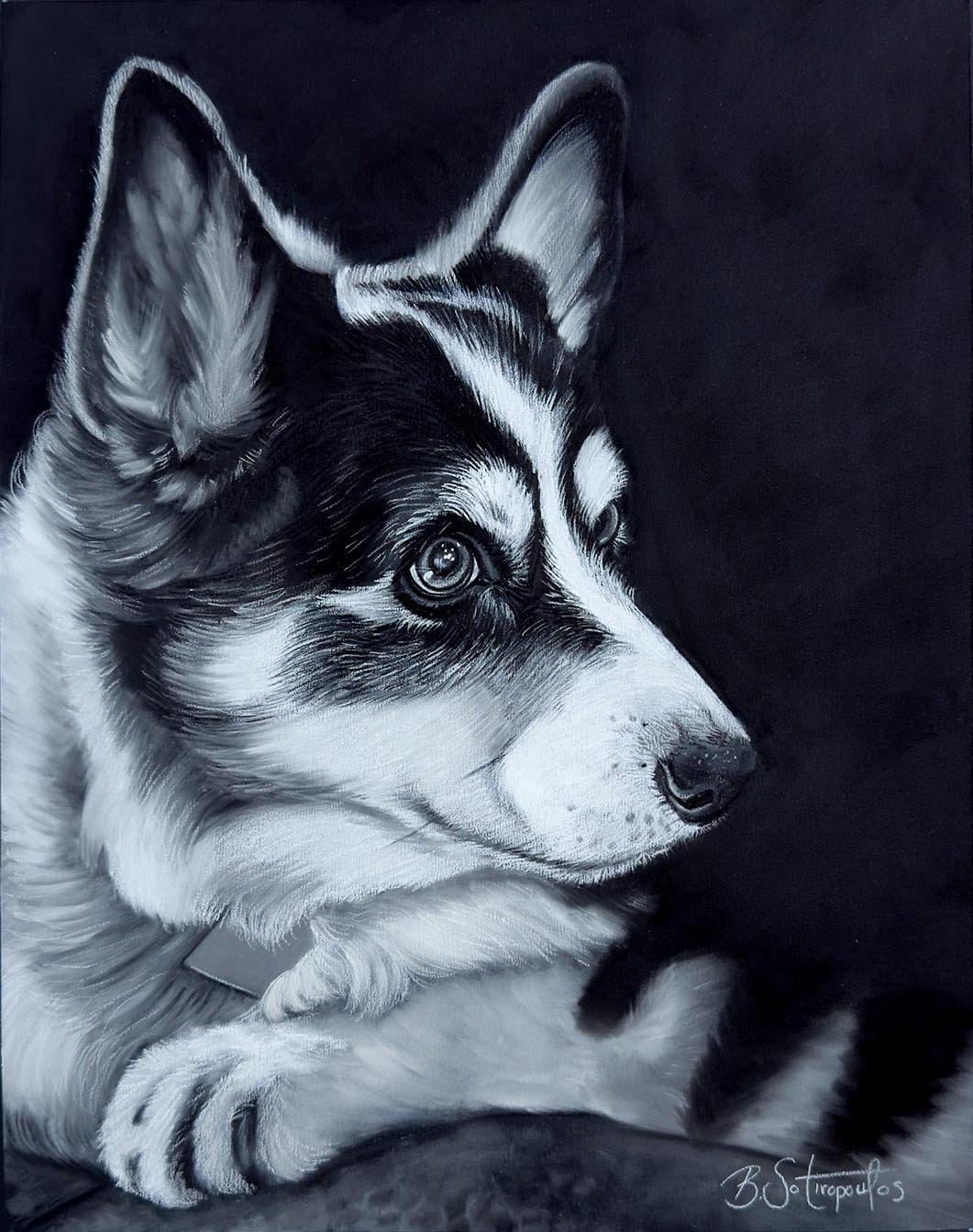 Dexter - 11x14 inches