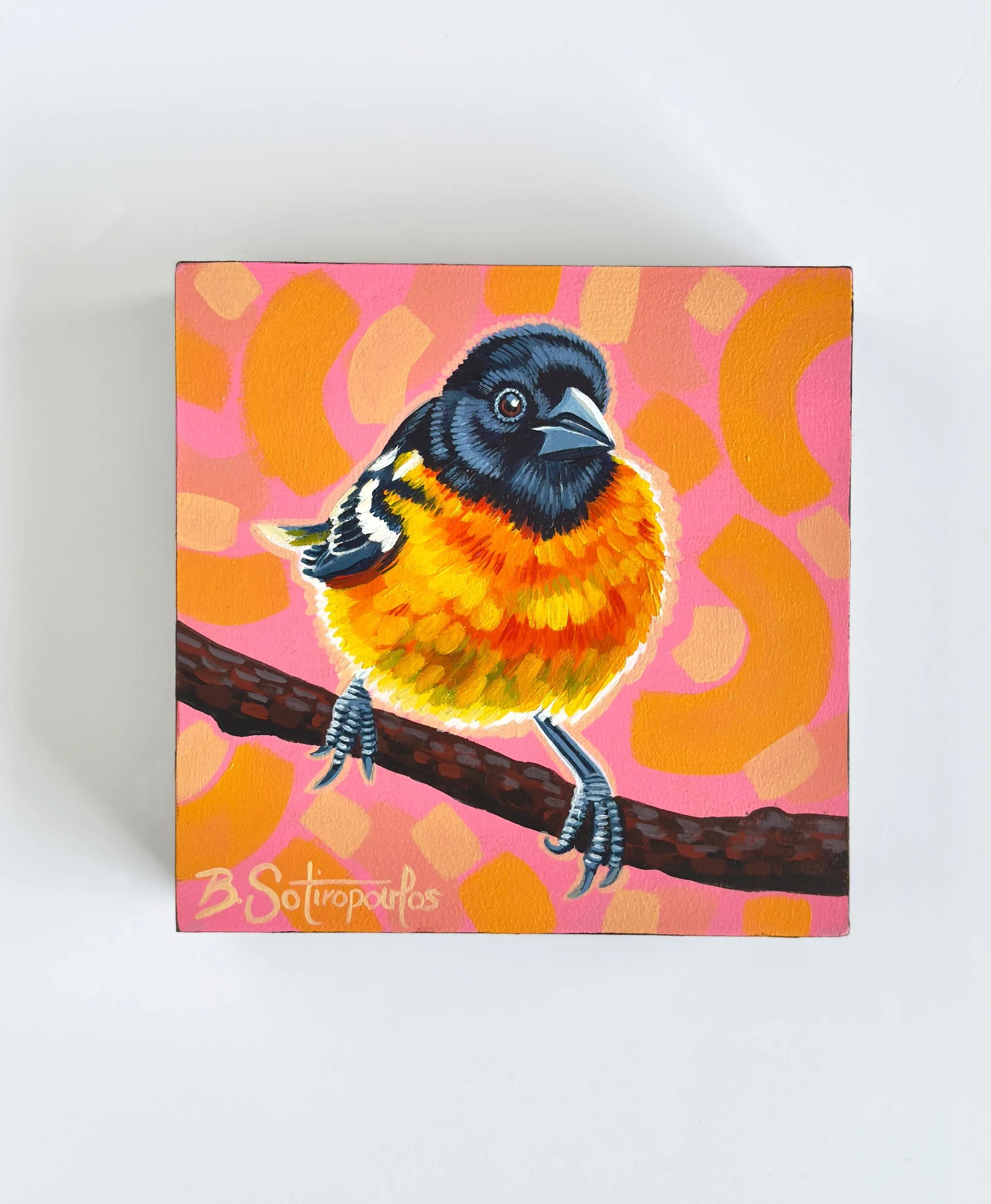 barbsotiart_Creamsicle Dream_1.jpg