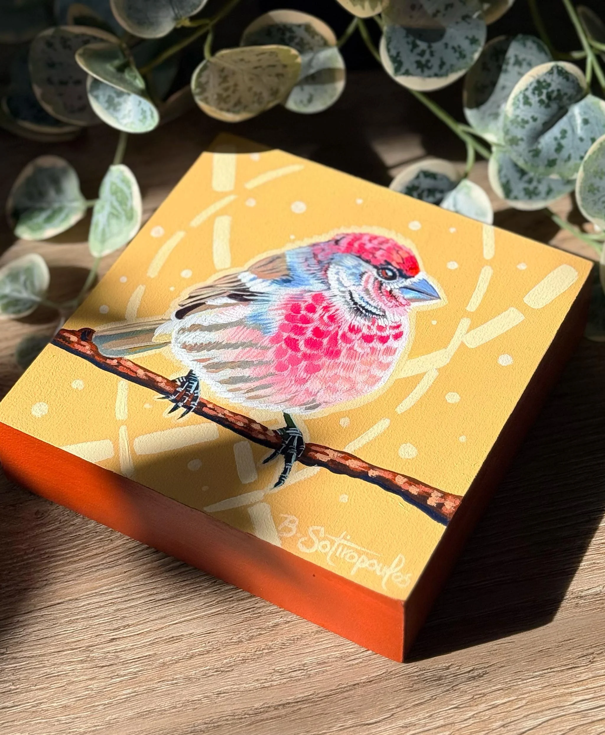 Brighter Hearts, Better Days