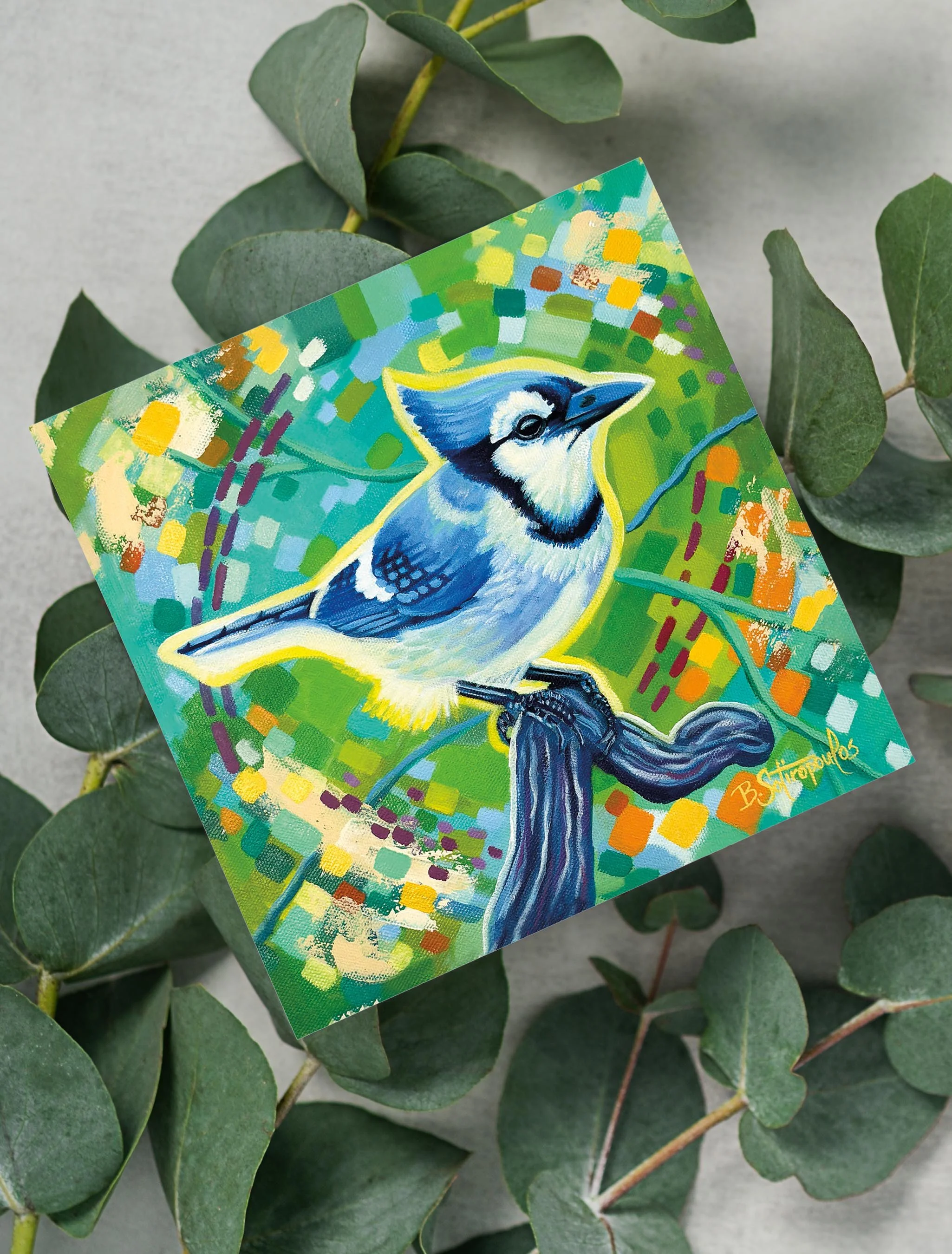 DD-MINI Blue Jay Prints_1.jpg