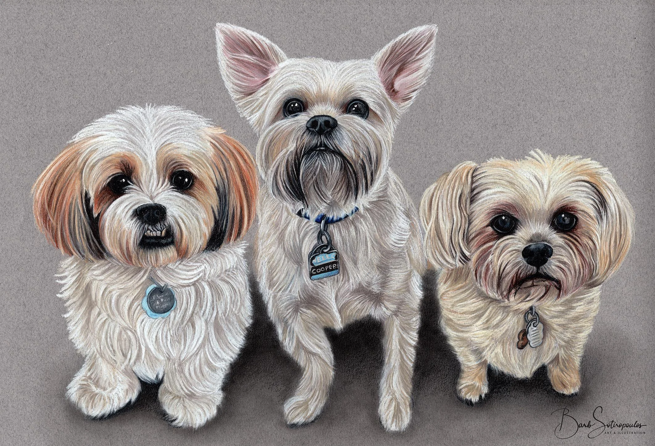 Tyson, Muffie & Cooper - 20x10 inches