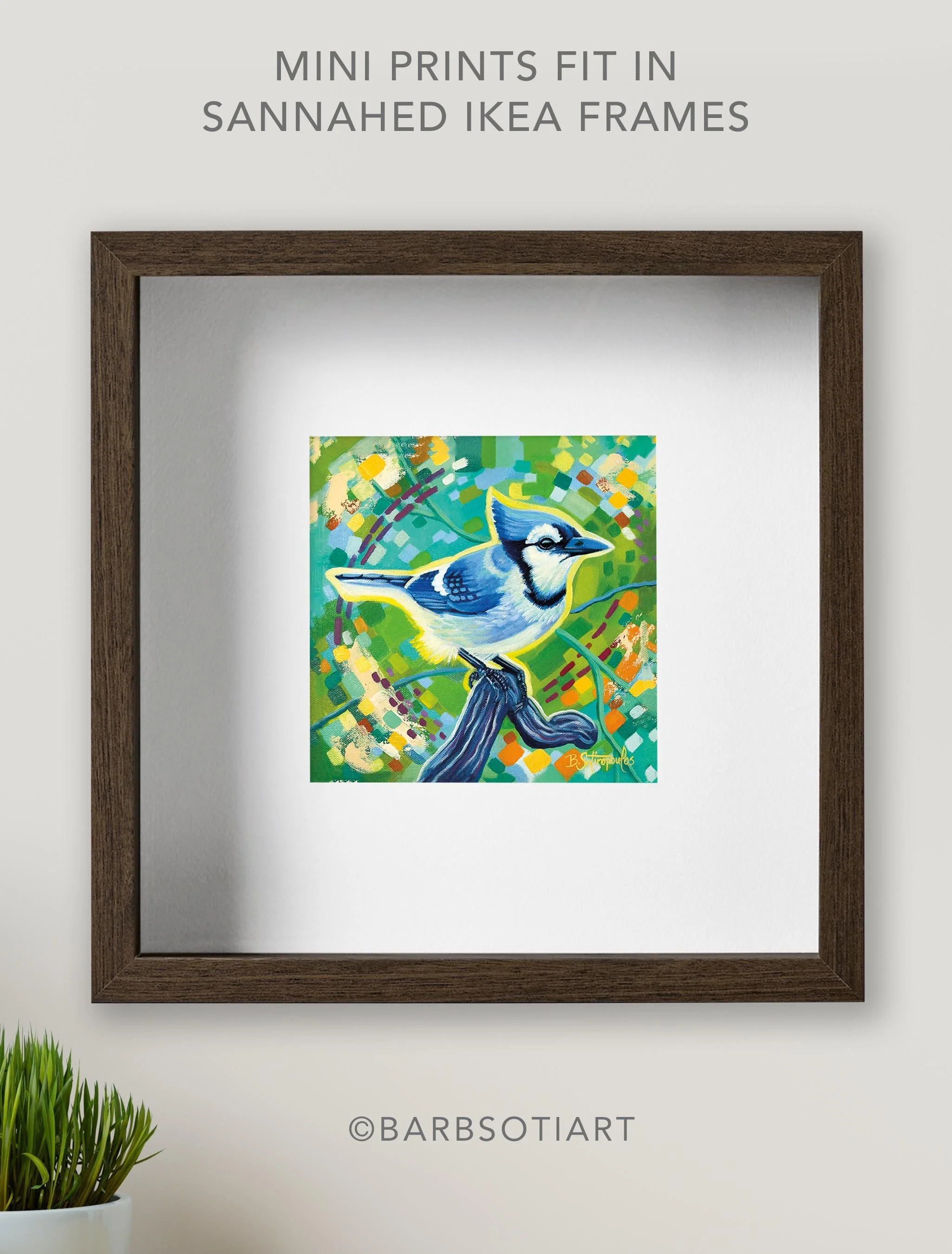 DD-MINI Blue Jay Prints_9.jpg