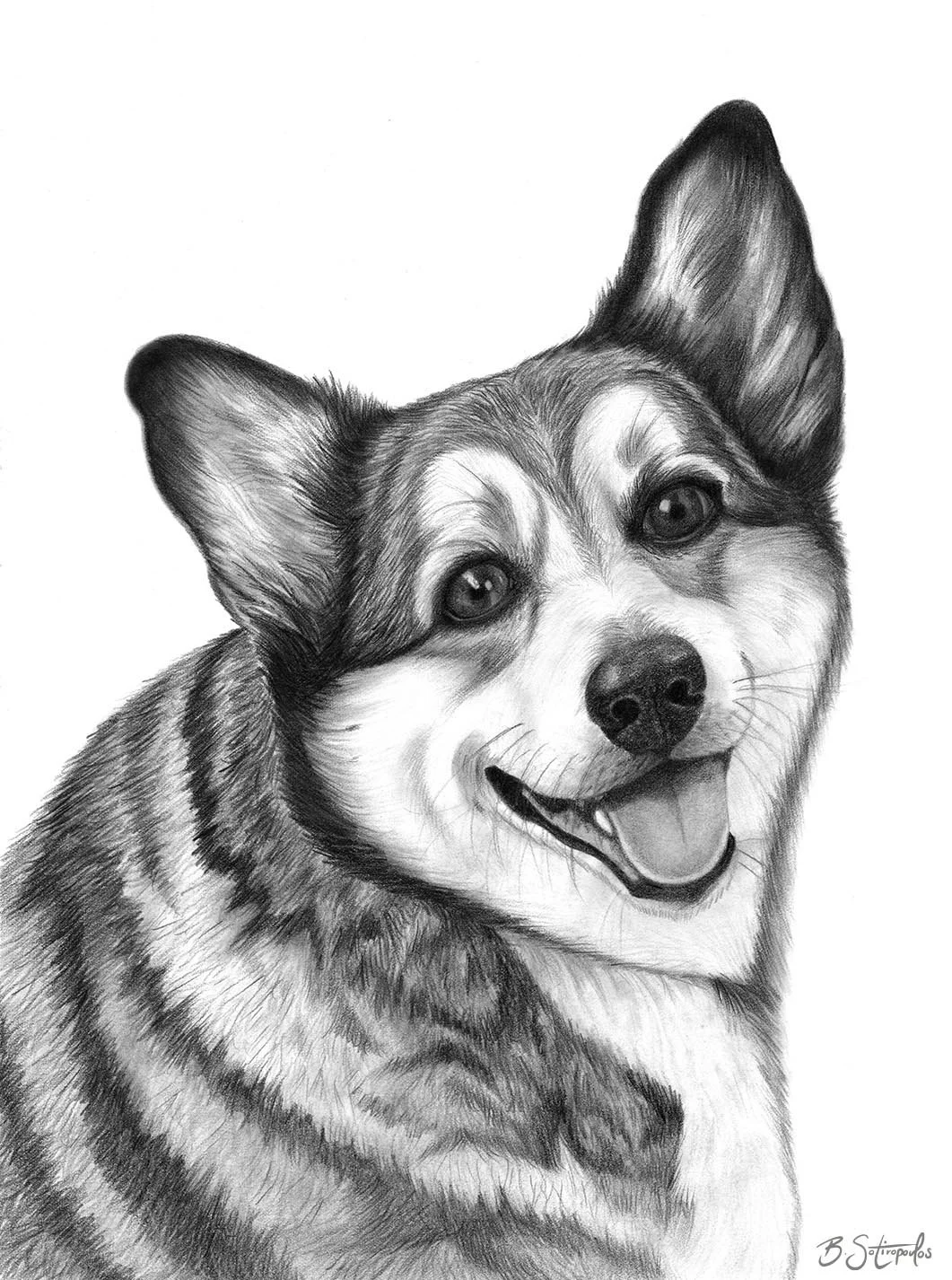 Gizmo II - 11x14 inches