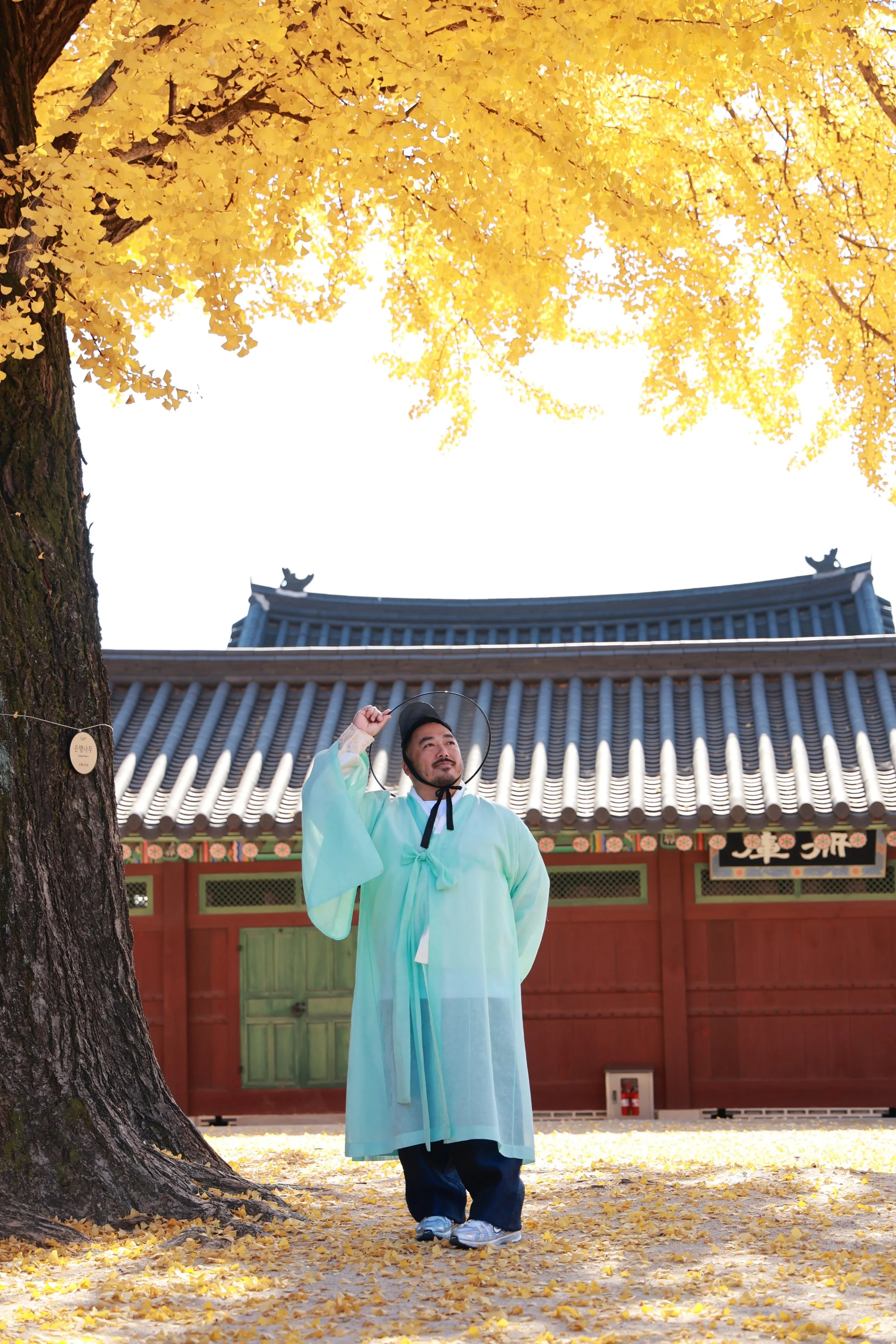 A man dressed in traditional Korean clothing standing outdoors under a large tree with yellow leaves, near a traditional Korean building with a tiled roof.