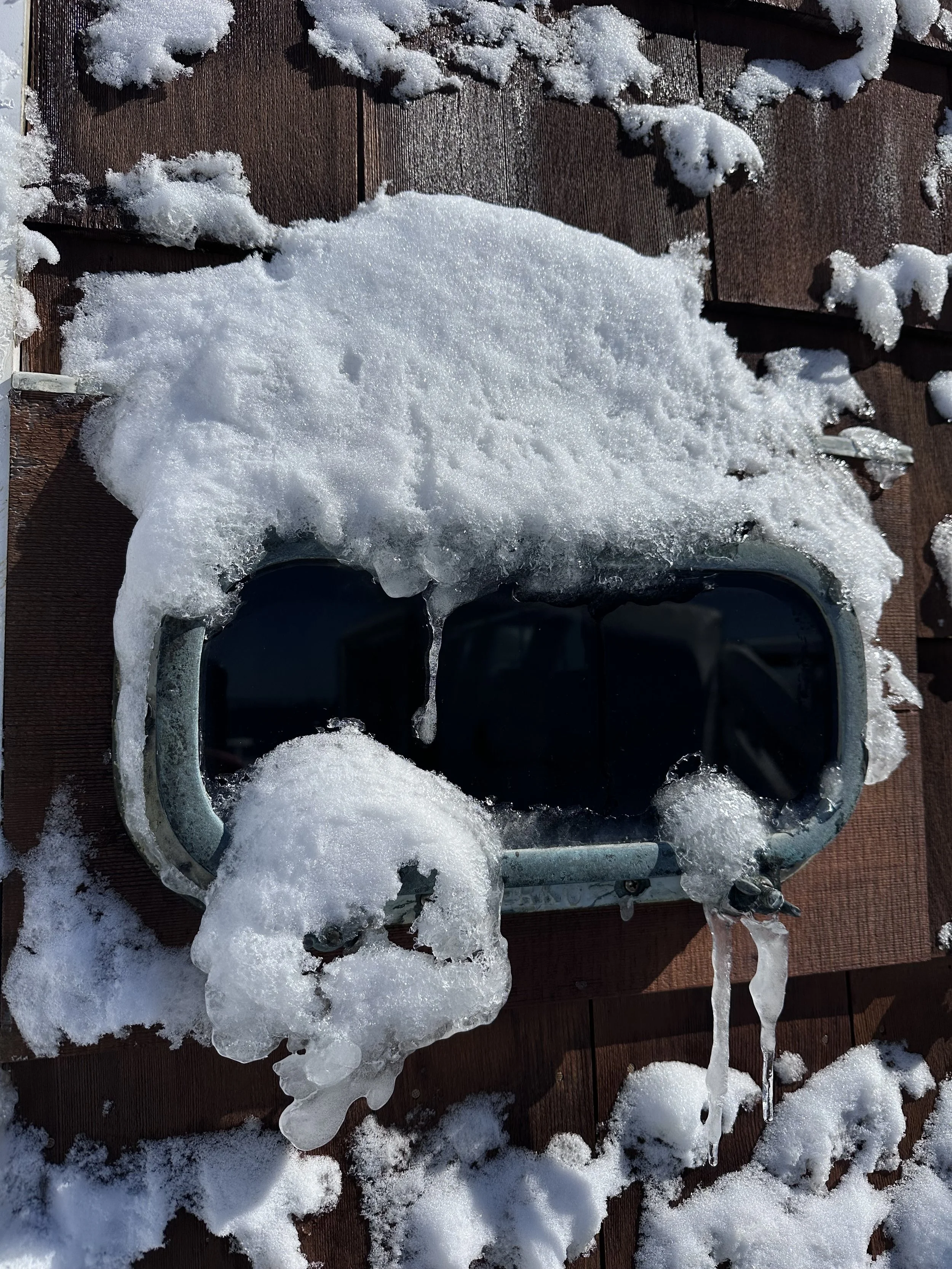 [february] blizzard 2026