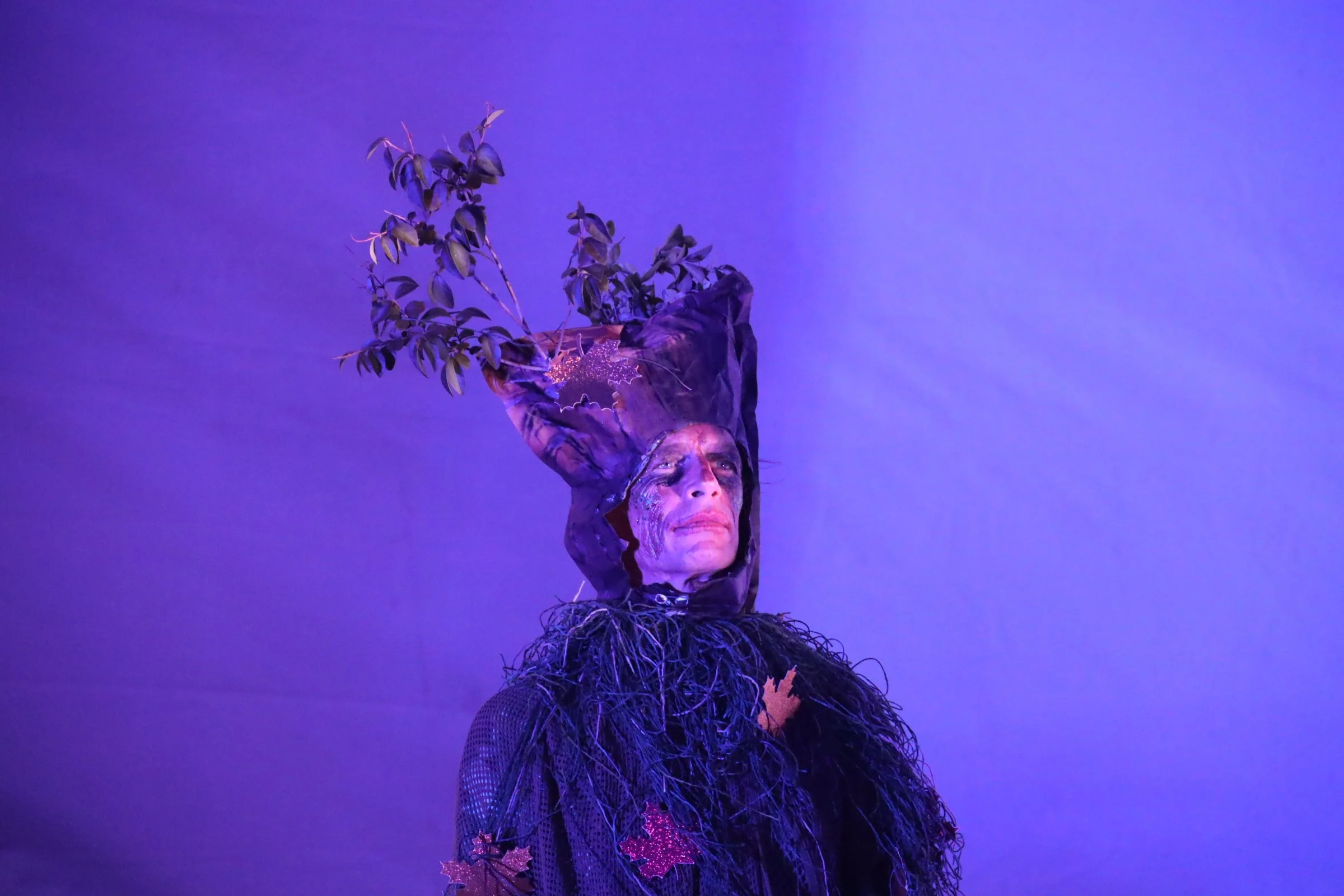 TREE Standing Sean Flattery.JPG