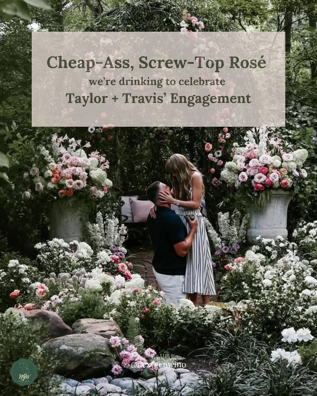 it&rsquo;s still summer + we&rsquo;re still drinking ros&eacute;! these are our favorite, in honor of TNT 🧨 ✨

@lavieilleferme @maisonnoirwines @tablascreek @alexandervalleyvineyards 

#taylorswift #traviskelce #tnt #wine #ros&eacute; #nextgenwino