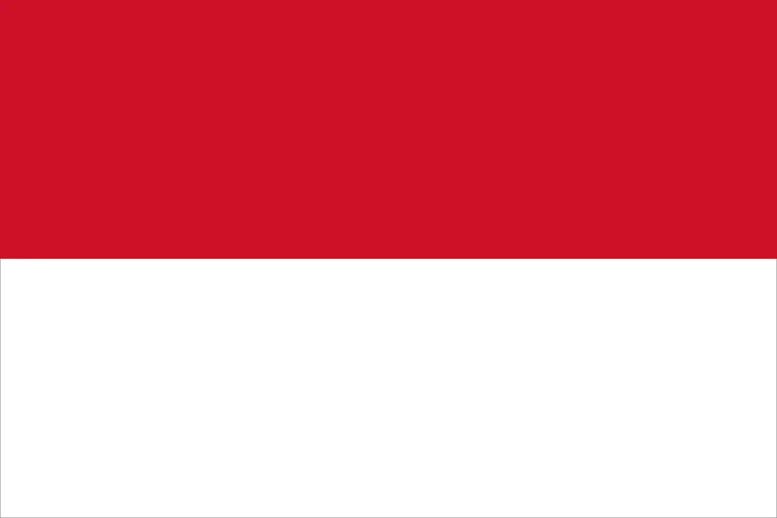 Bandera de Indonesia con franjas horizontales roja en la parte superior y blanca en la parte inferior.