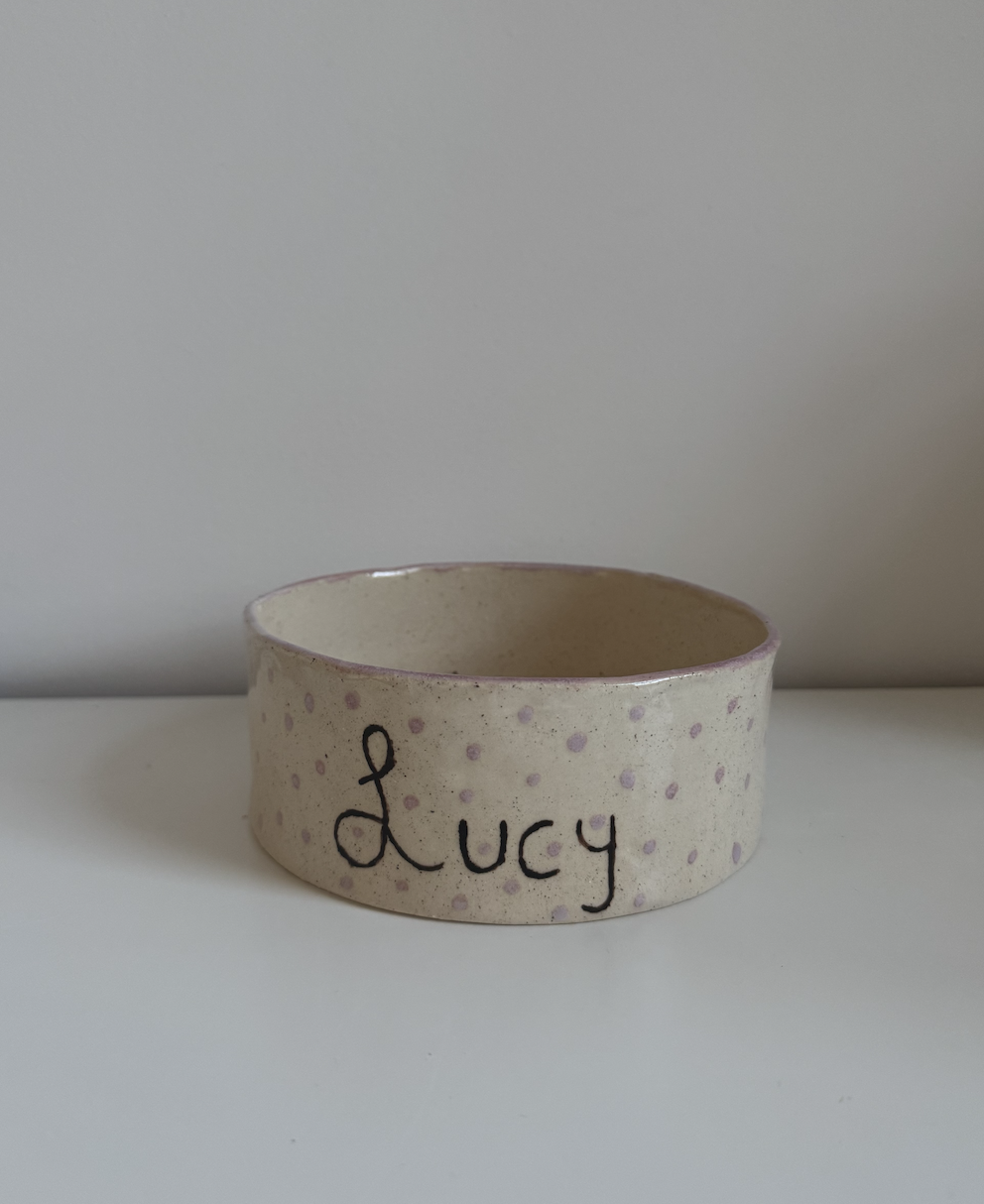 Lucy Dog Bowl