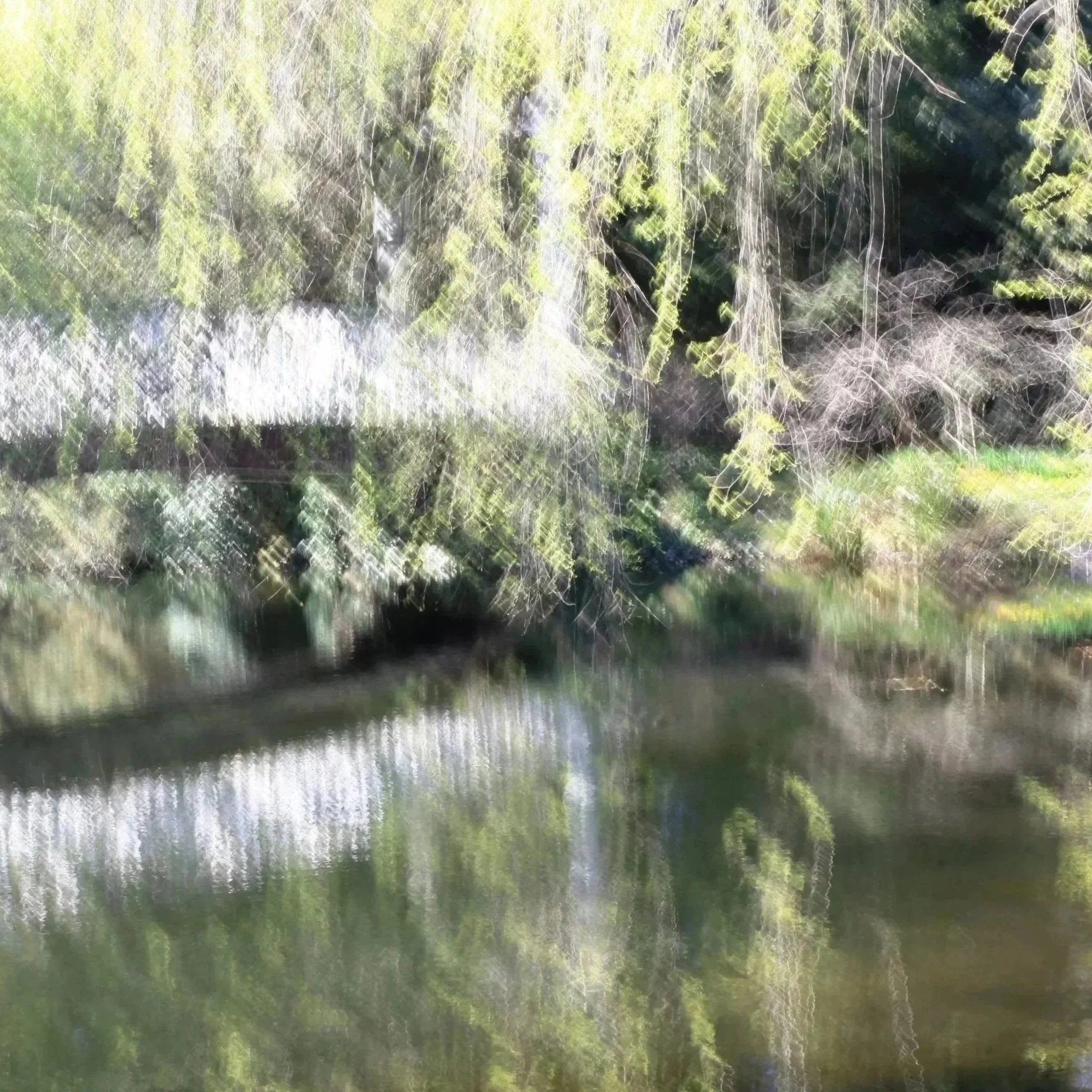 ARBORETUM.jpeg.afextensiondocument.jpg