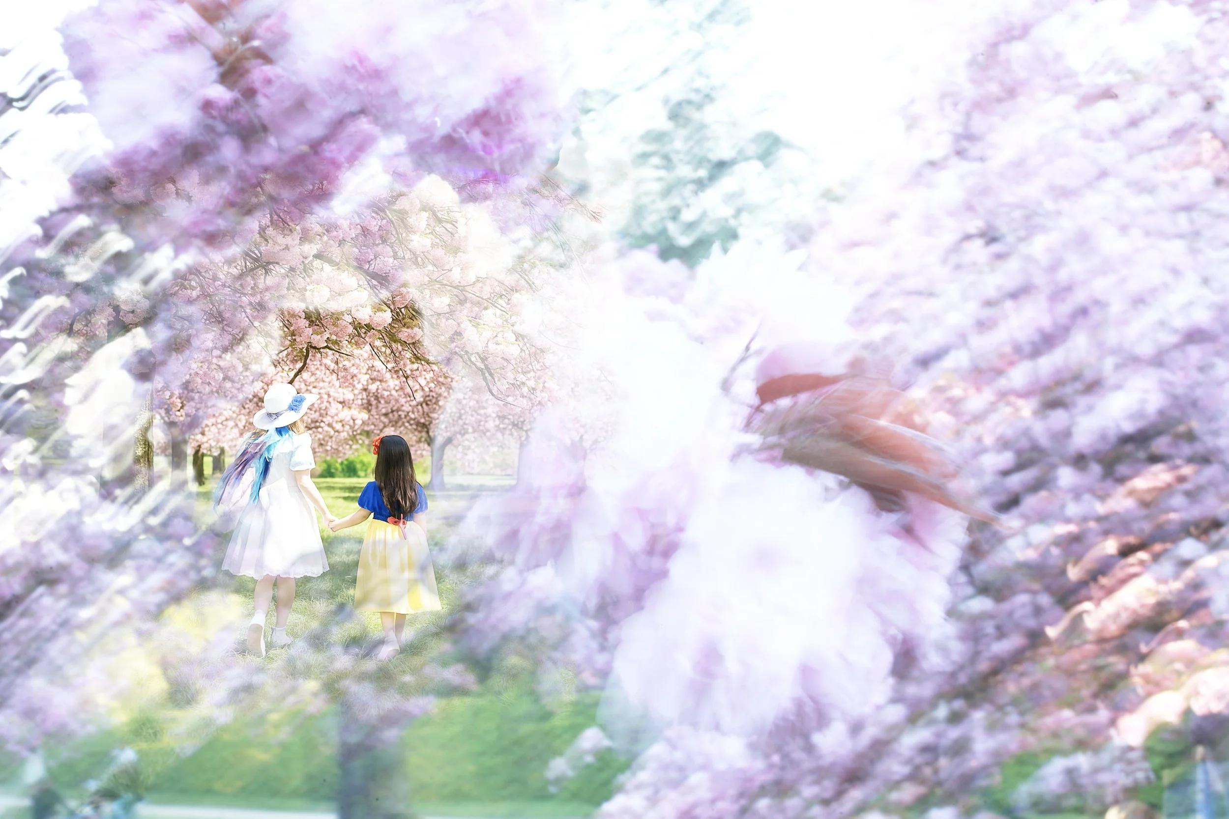 soeurs de pétale& blanche neige.jpg