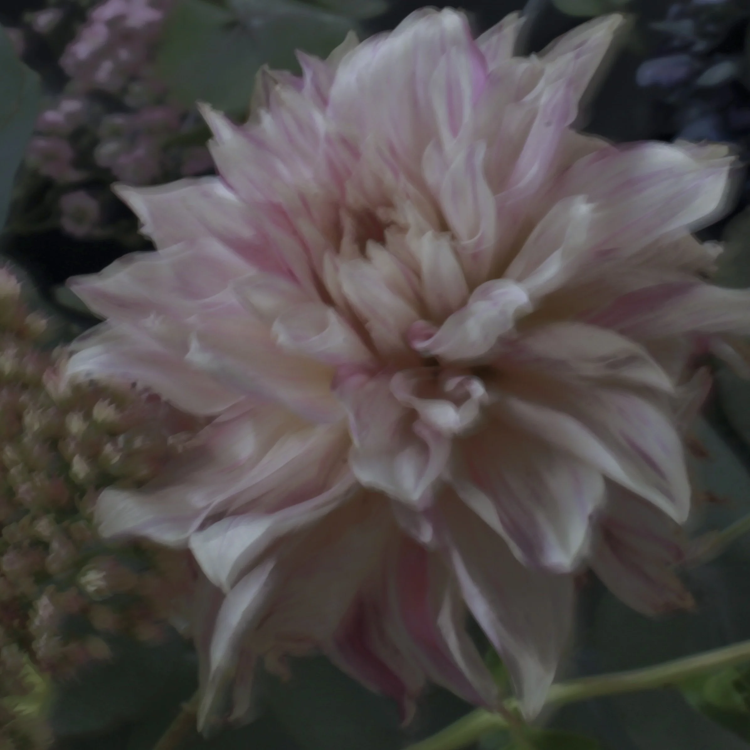 IMG_4979.jpeg