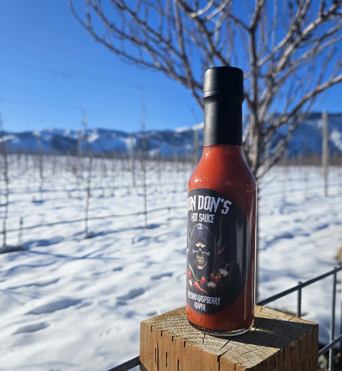 A bottle of hot sauce labeled 'Feijo Raspberry Reaper' from Don Don's Hot Sauce Co. placed on a wooden log outdoors on a snowy landscape with a tree in the background and mountains in the distance under a clear blue sky.