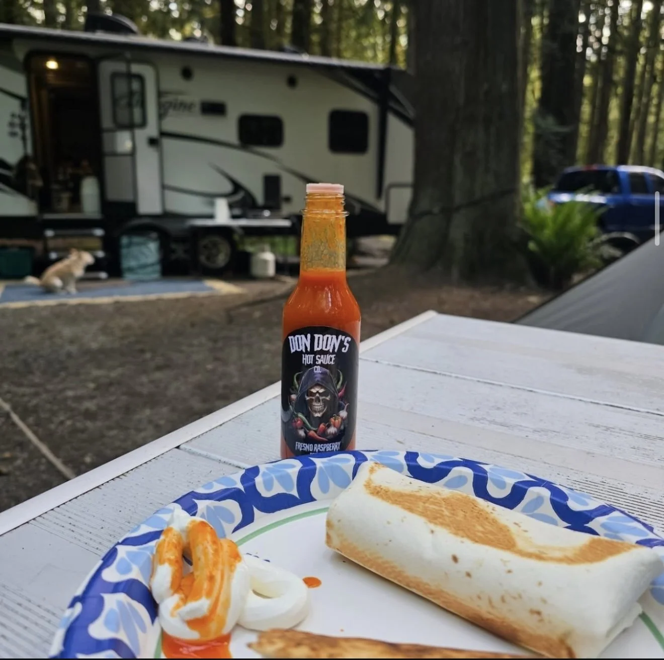 Camping scene with a table holding a burrito, a side of sour cream and hot sauce, in front of a camper trailer and trees.