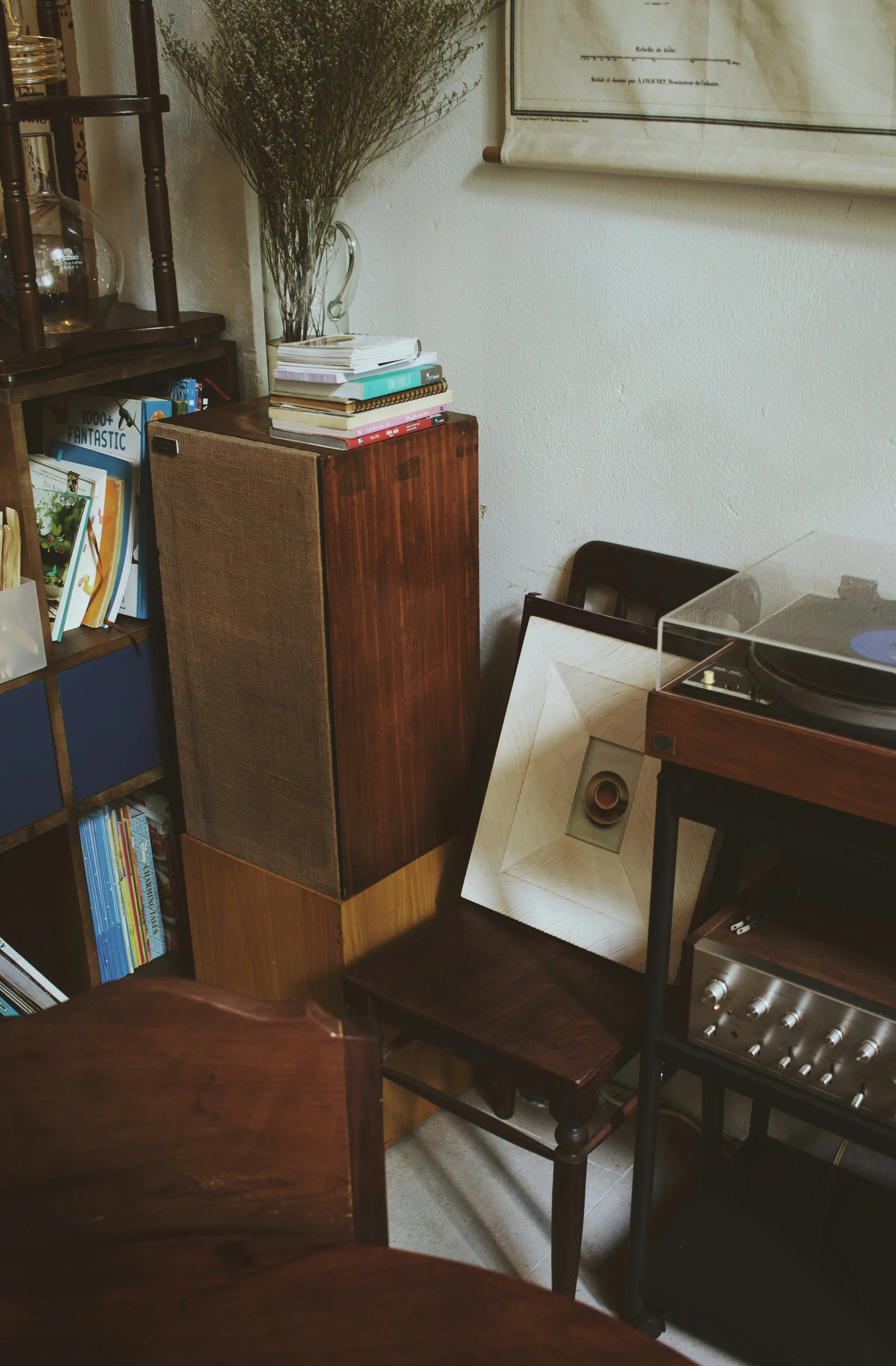 Welcome to Needle & Dust: 5 Must-Have Accessories for Better Vinyl Listening