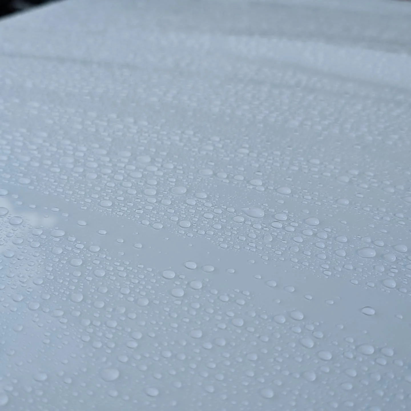 There's nothing like seeing beading on well protected paint 💧 
.
.
#detailing #autodetailing #cardetailing #detailingworld #ceramiccoating #carwash #detailersofinstagram #carcare #paintcorrection #cars #detailer #paintprotection #car #mobiledetailin