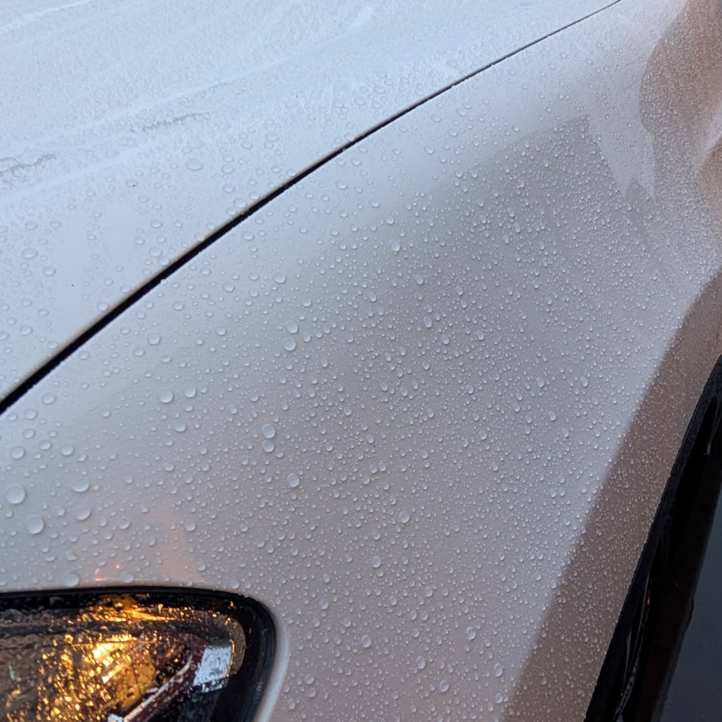 Is your car winter ready?❄️
Contact us to get your winter paint protection! 💬
.
.
#detailing #autodetailing #cardetailing #detailingworld #ceramiccoating #carwash #detailersofinstagram #carcare #paintcorrection #cars #detailer #paintprotection #car 