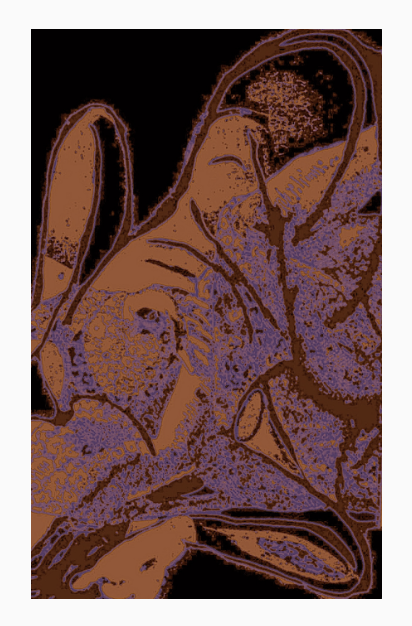 Crumb Woman Series (Digital Artworks)