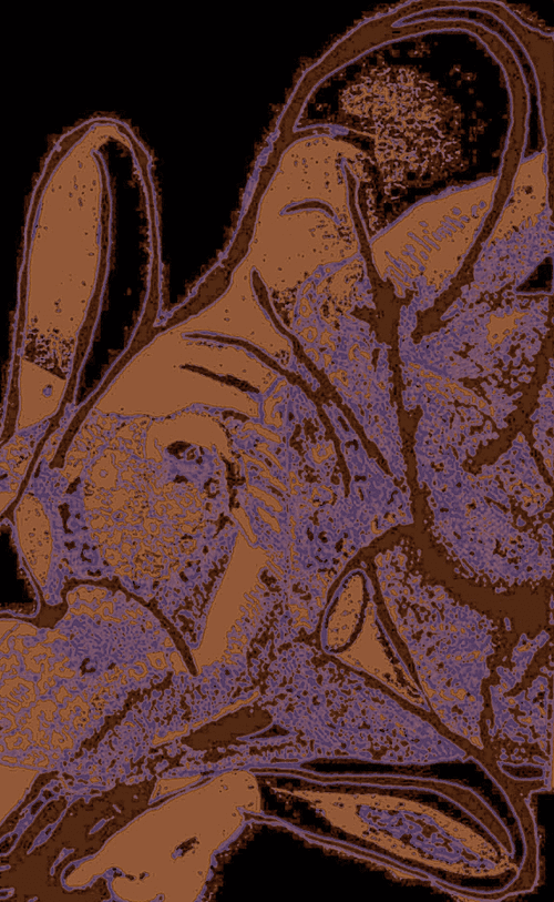 Crumb Woman. Giclee Archival Print. 2024. crumb Woman series