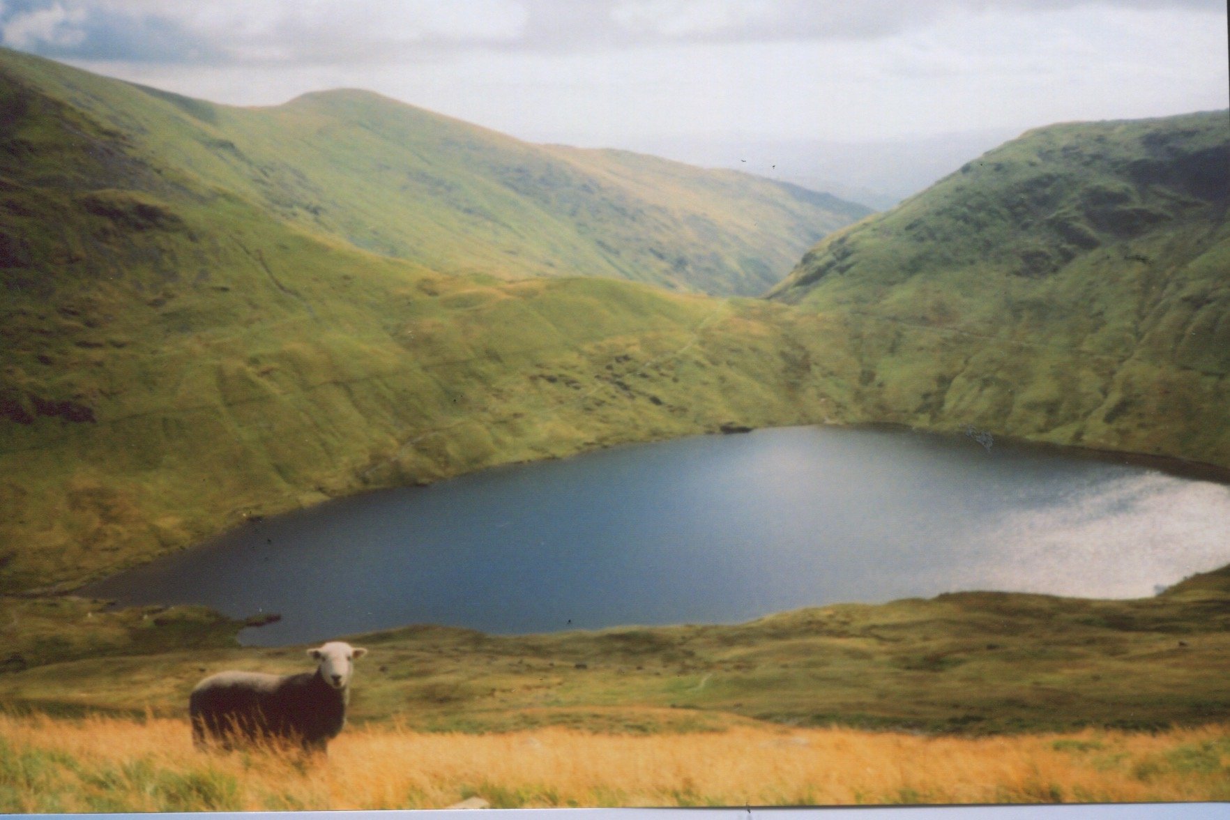 Scan 24.jpeg
