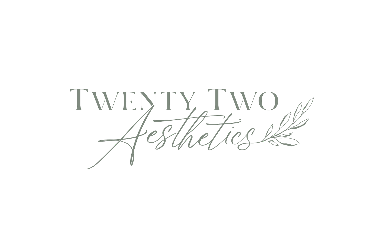 Twenty Two Aesthetics
