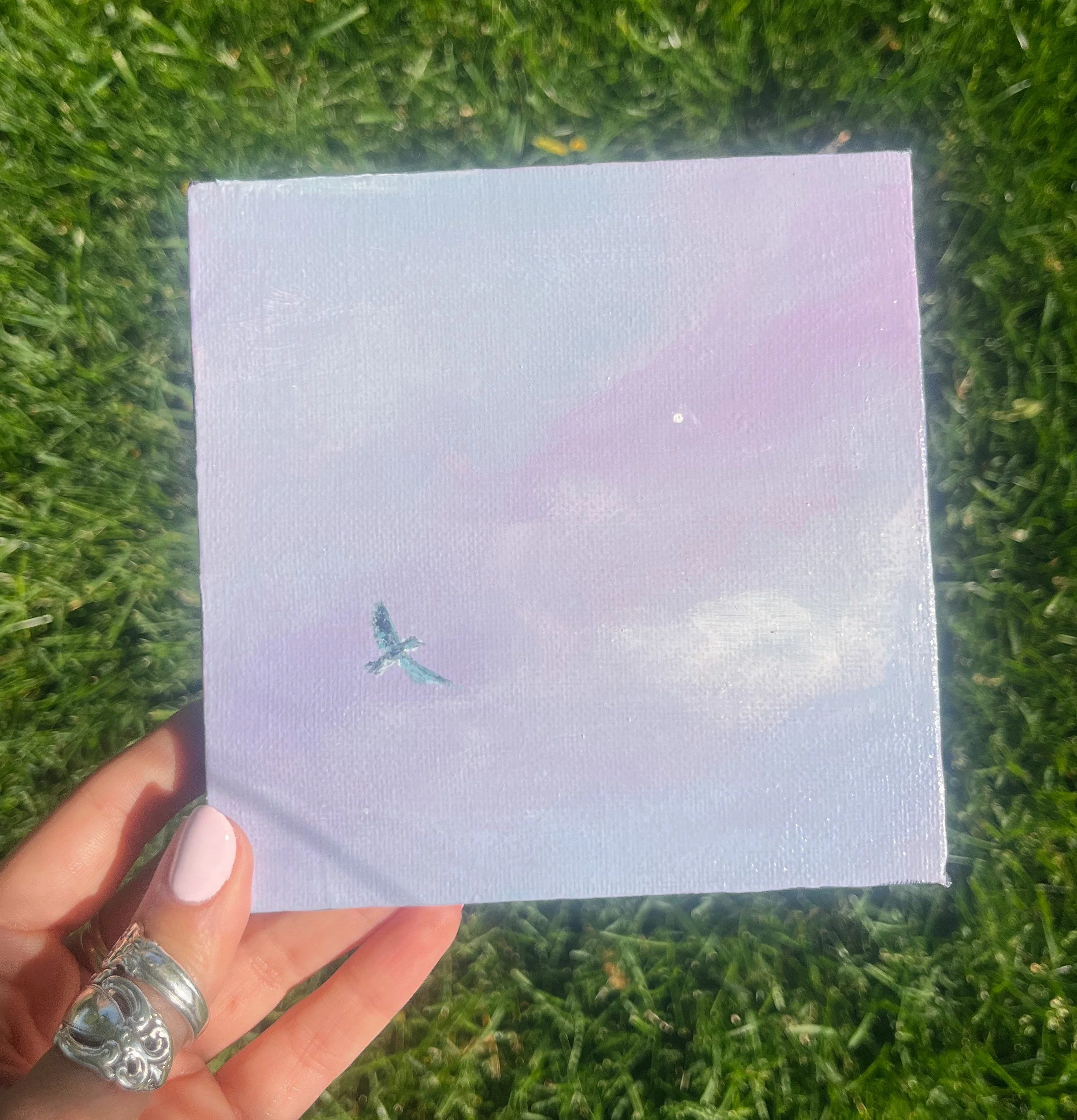 blue bird, 5x5 original
