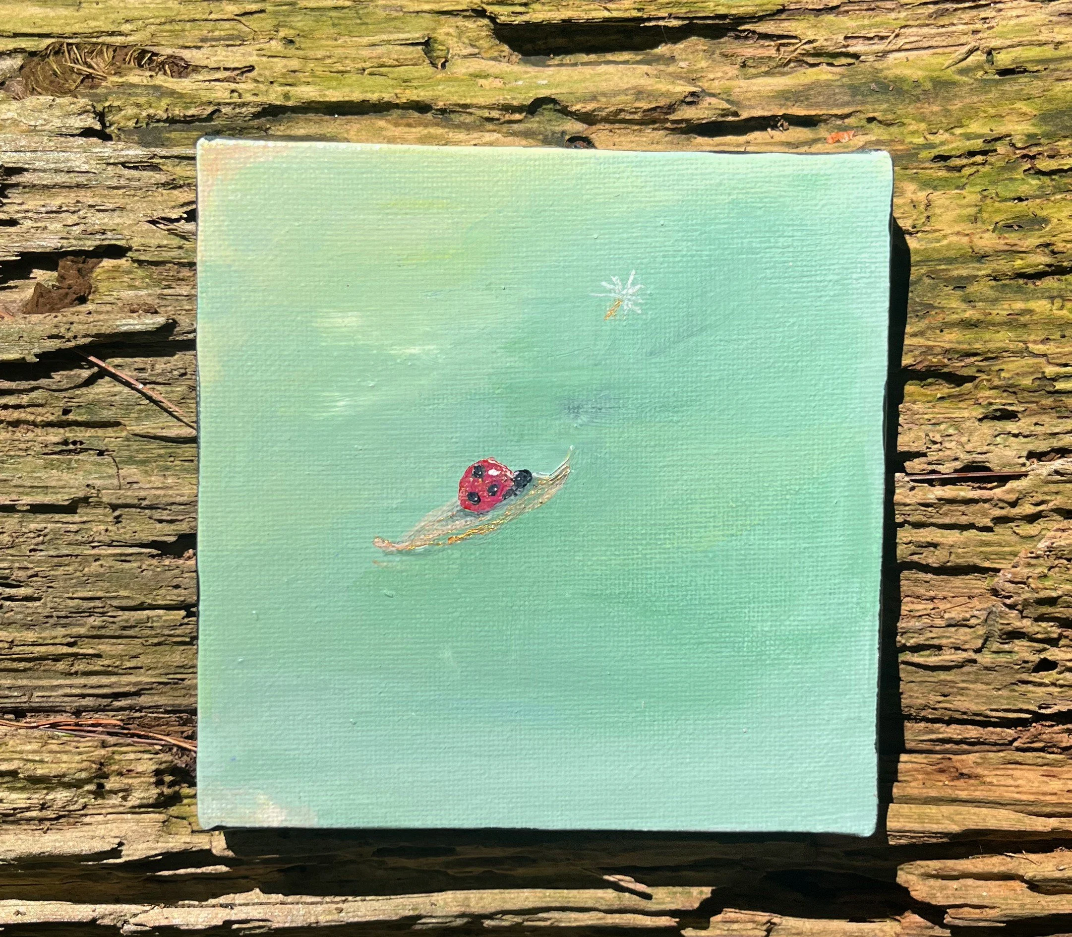 end of august, 5x5 original