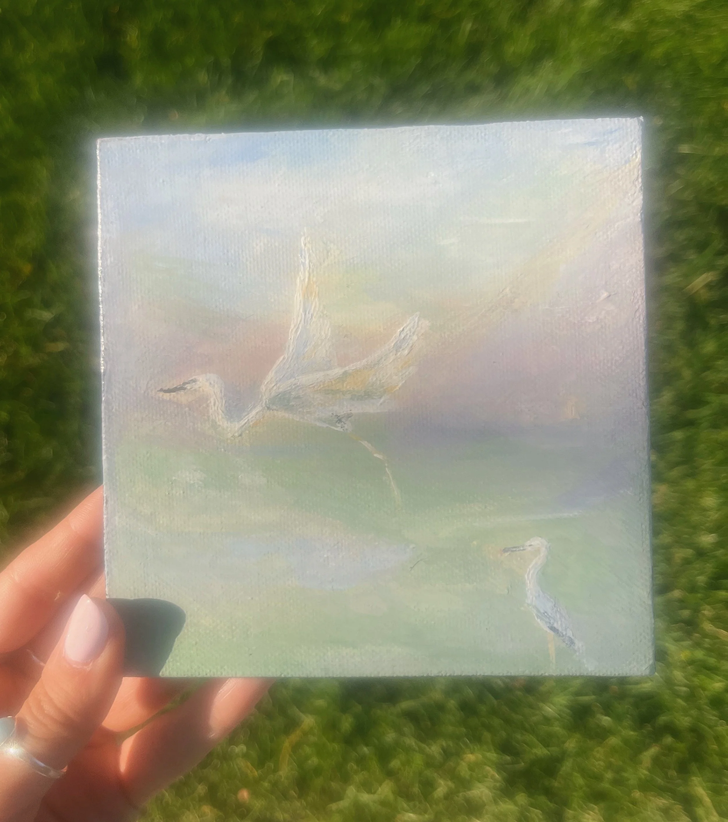 gale song, 5x5 original